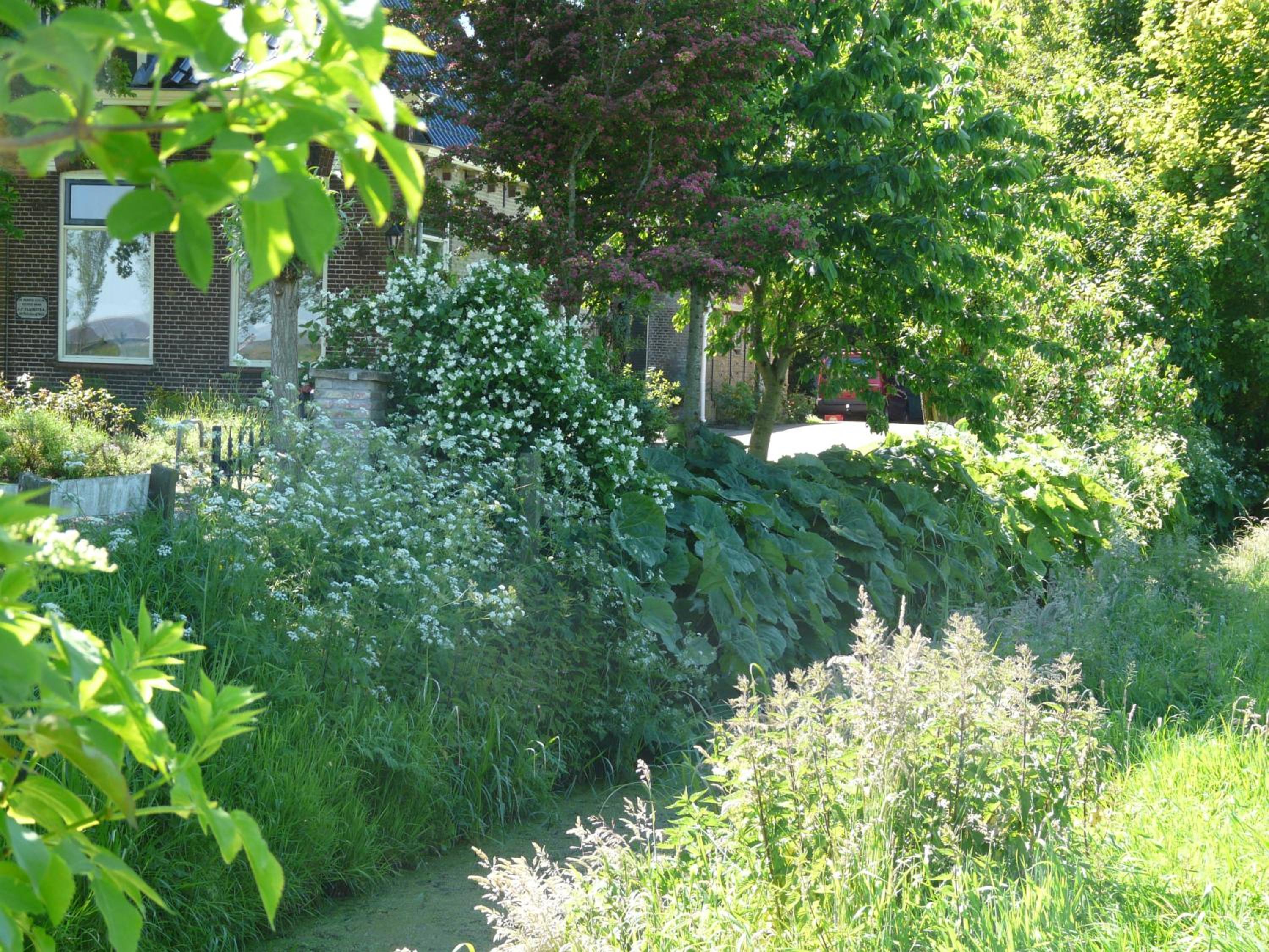 Photo 9