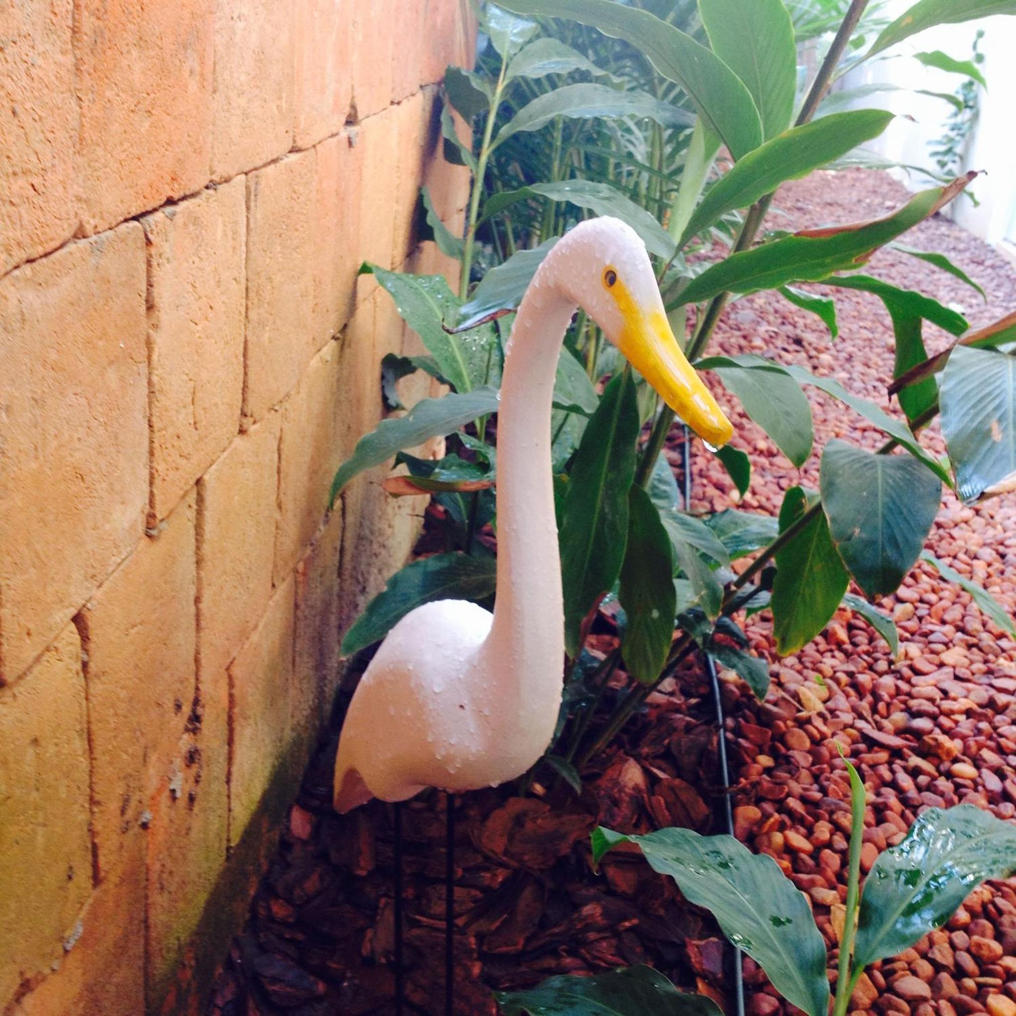 Jardim Secreto