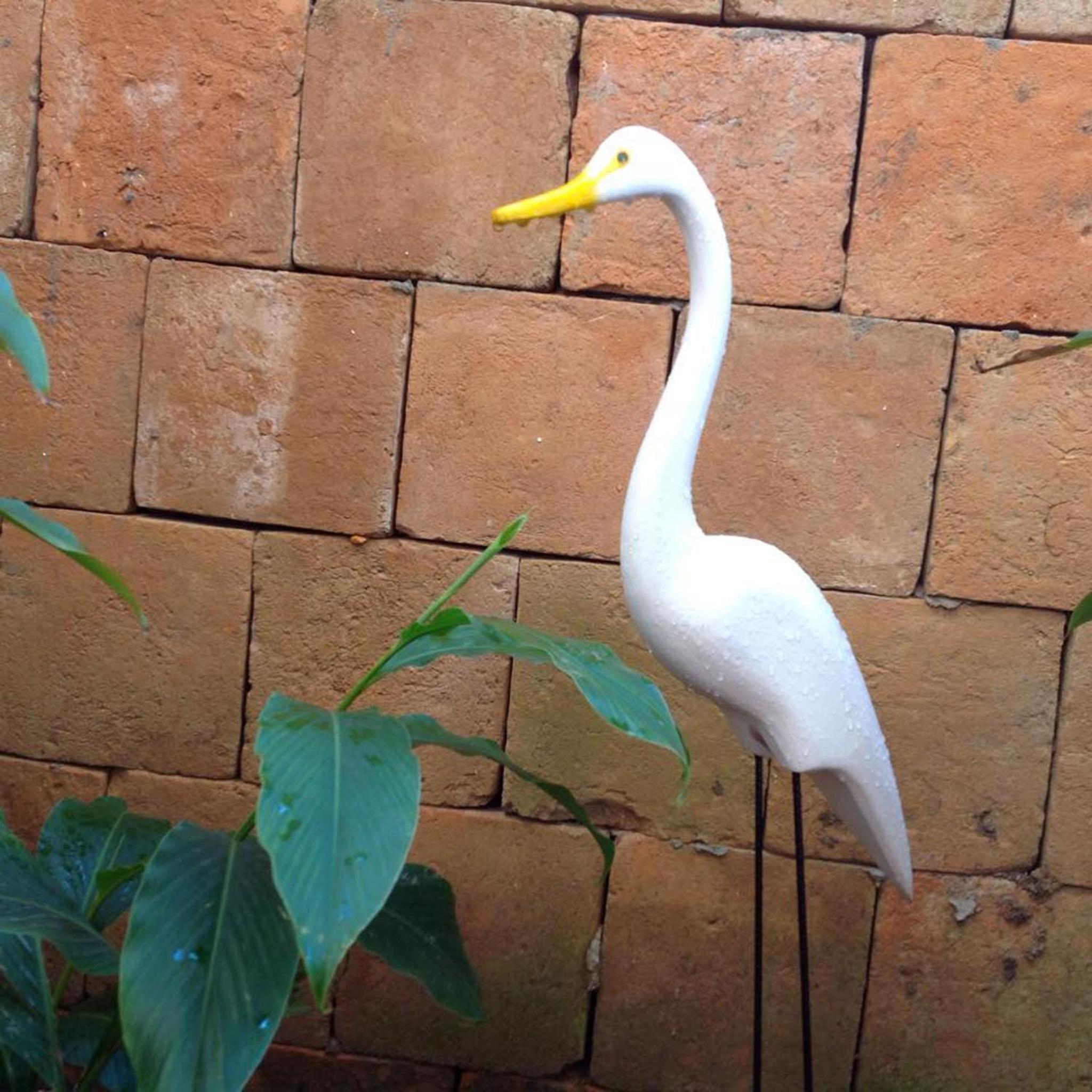 Jardim Secreto