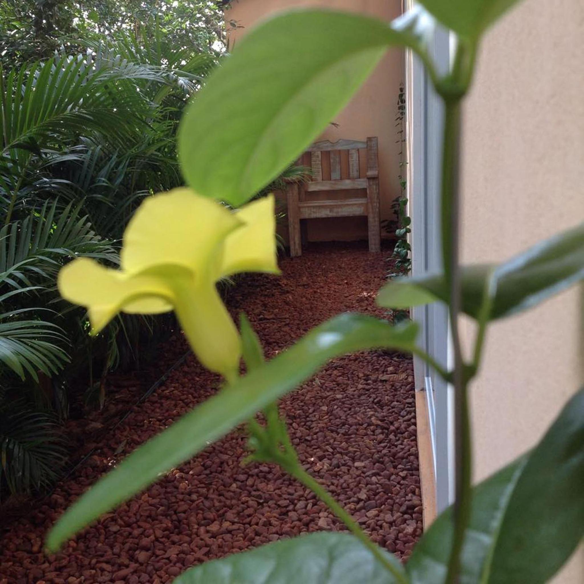 Jardim Secreto