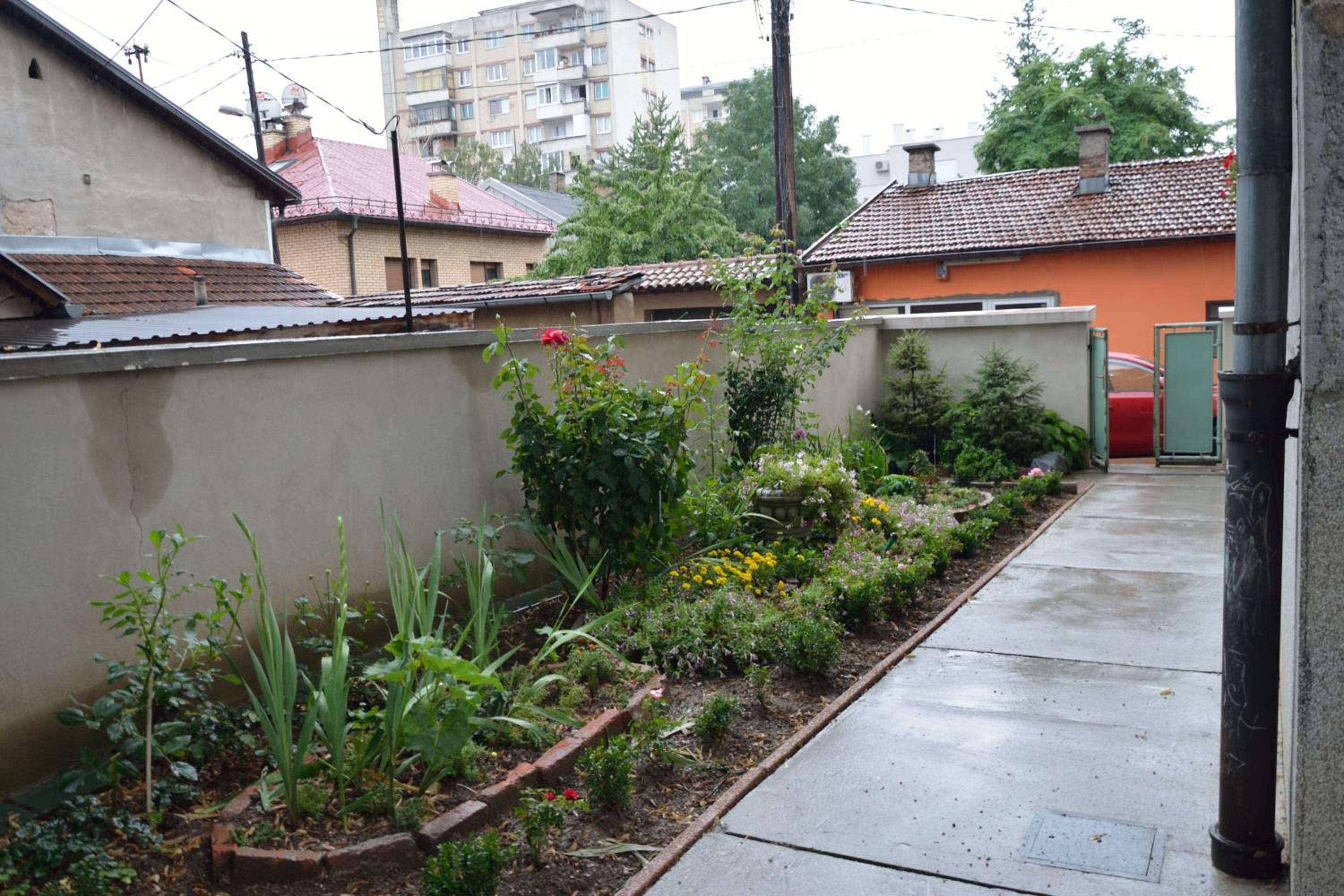 Photo 8