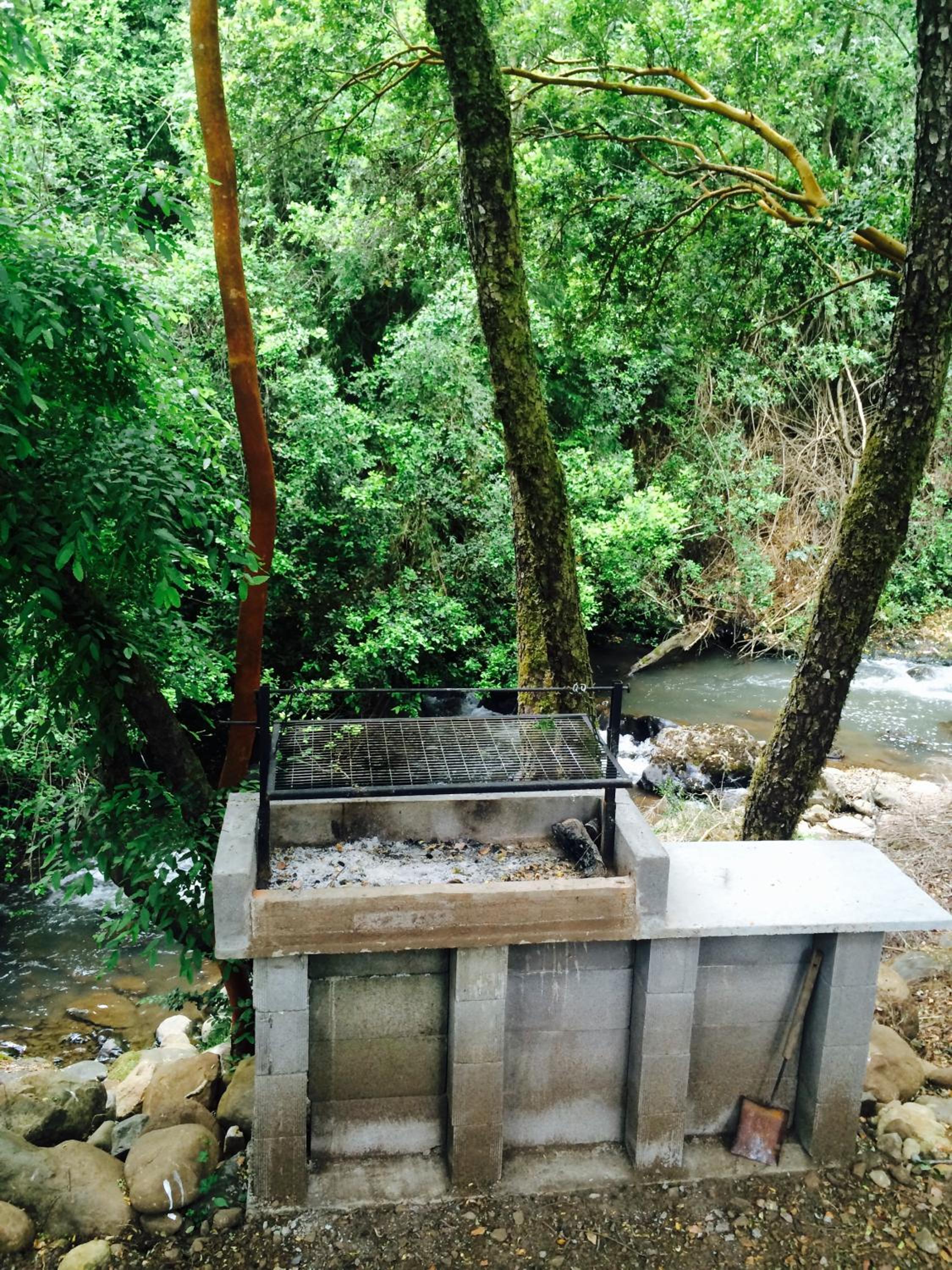 Cabañas Rahue