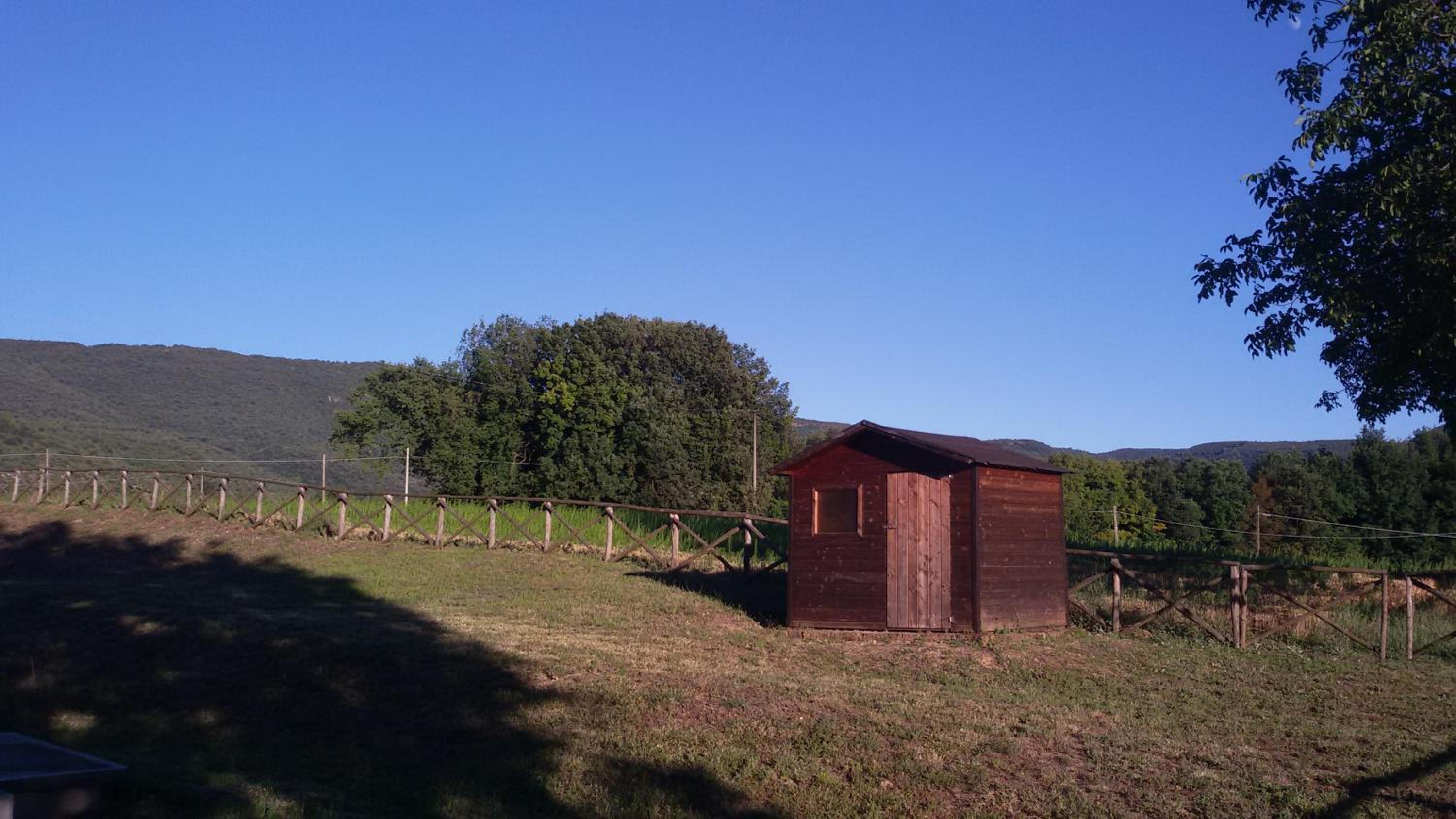 Photo 21