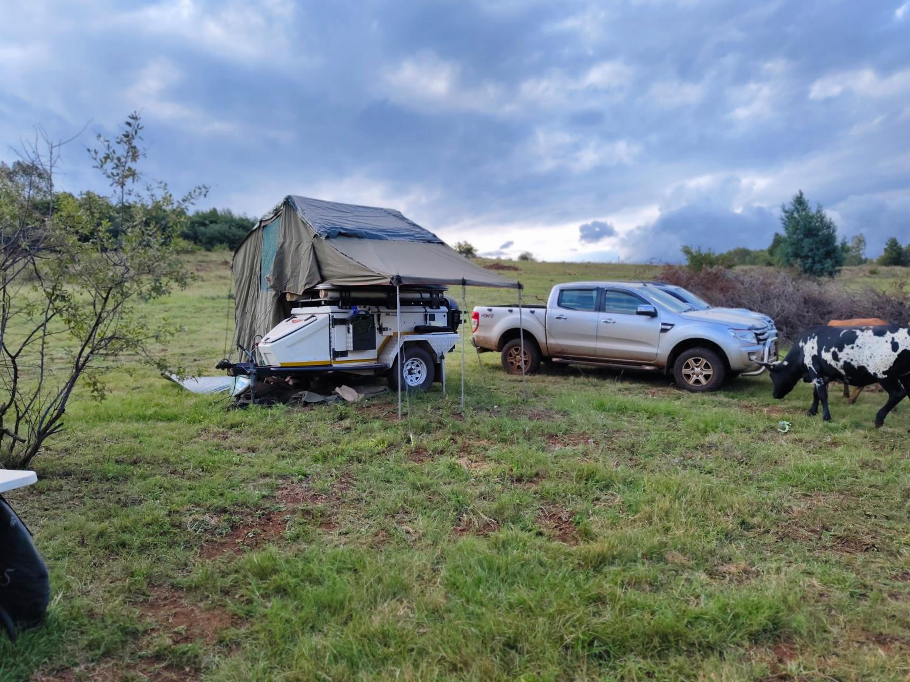 CradleLicious camp & caravan