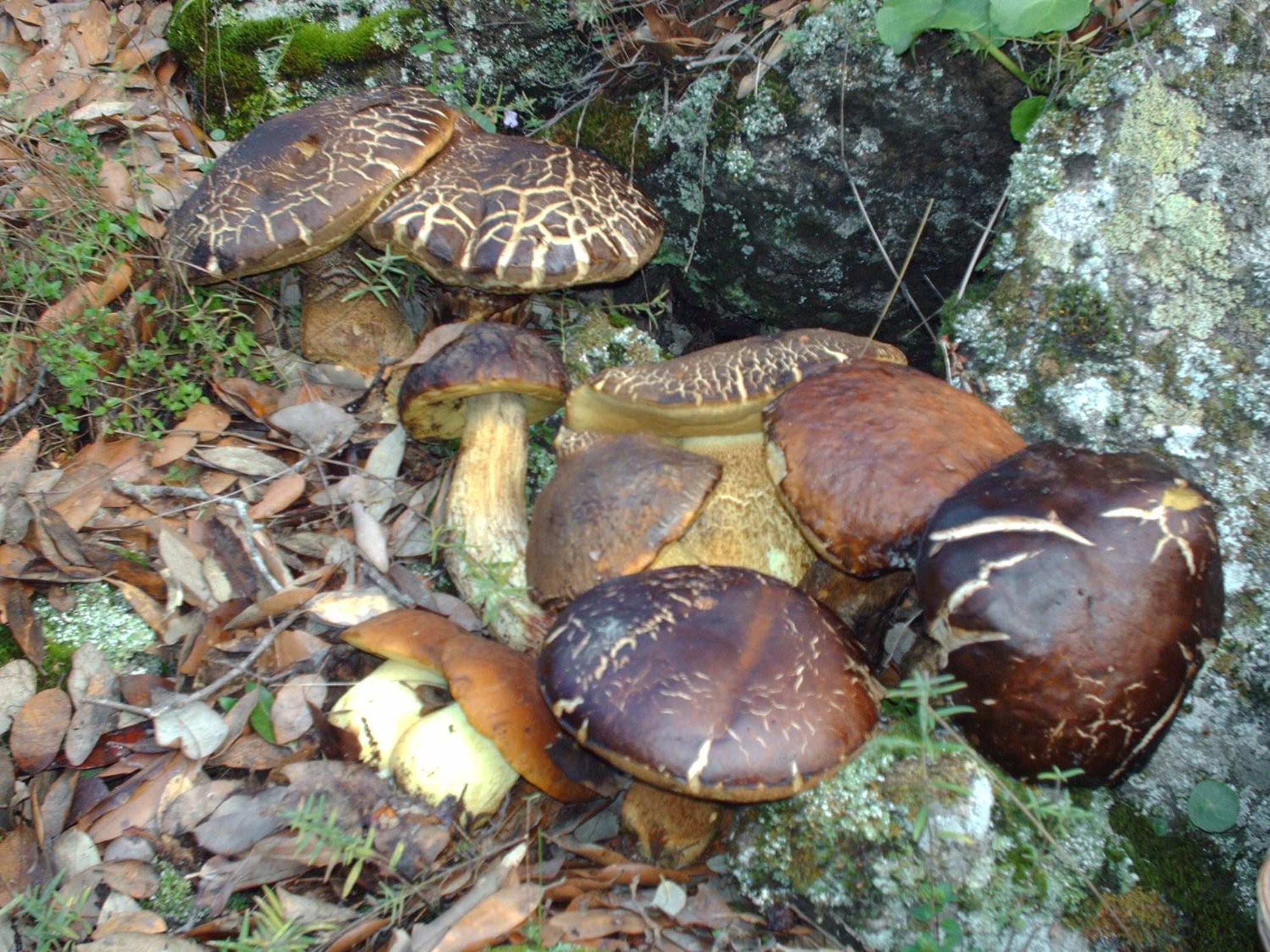 Photo 20