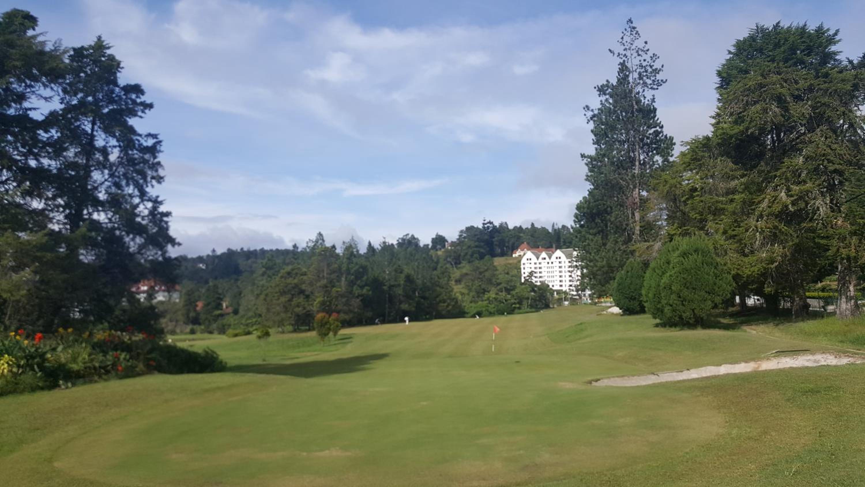Cameron Forest Home - Golden Hills photo 6