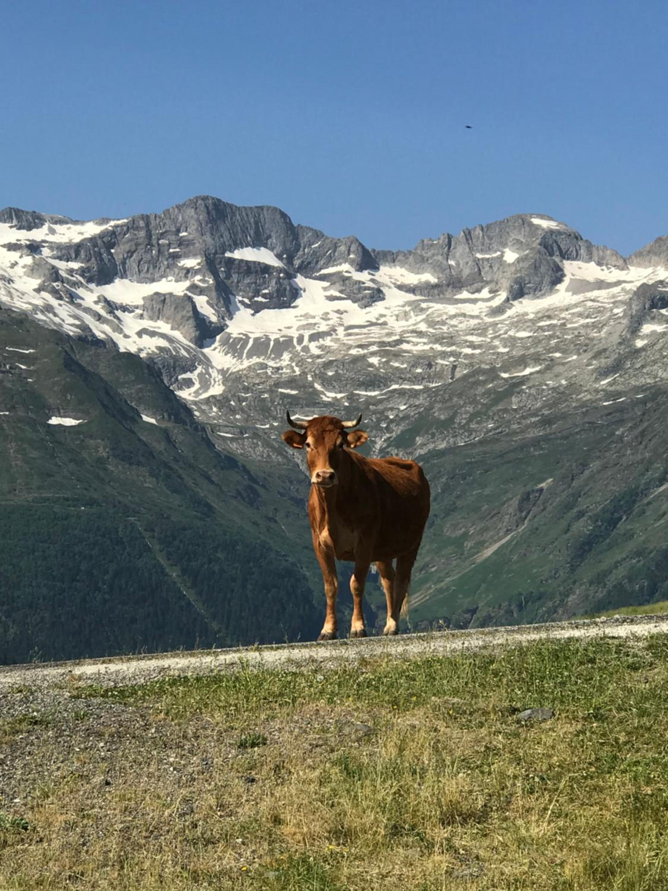 Le refuge 66