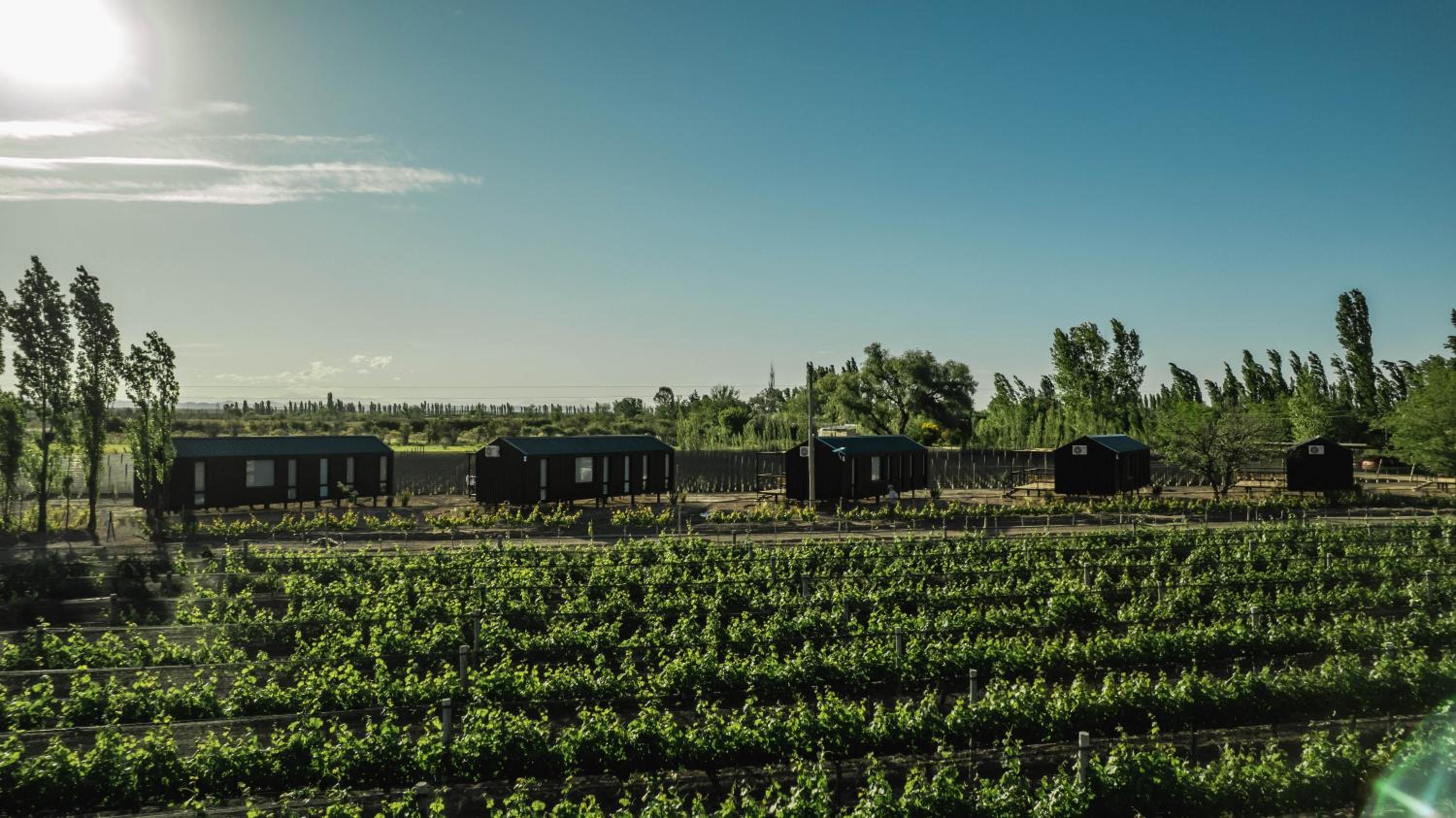 Bodega Iaccarini Wine Lodge by BT Homes