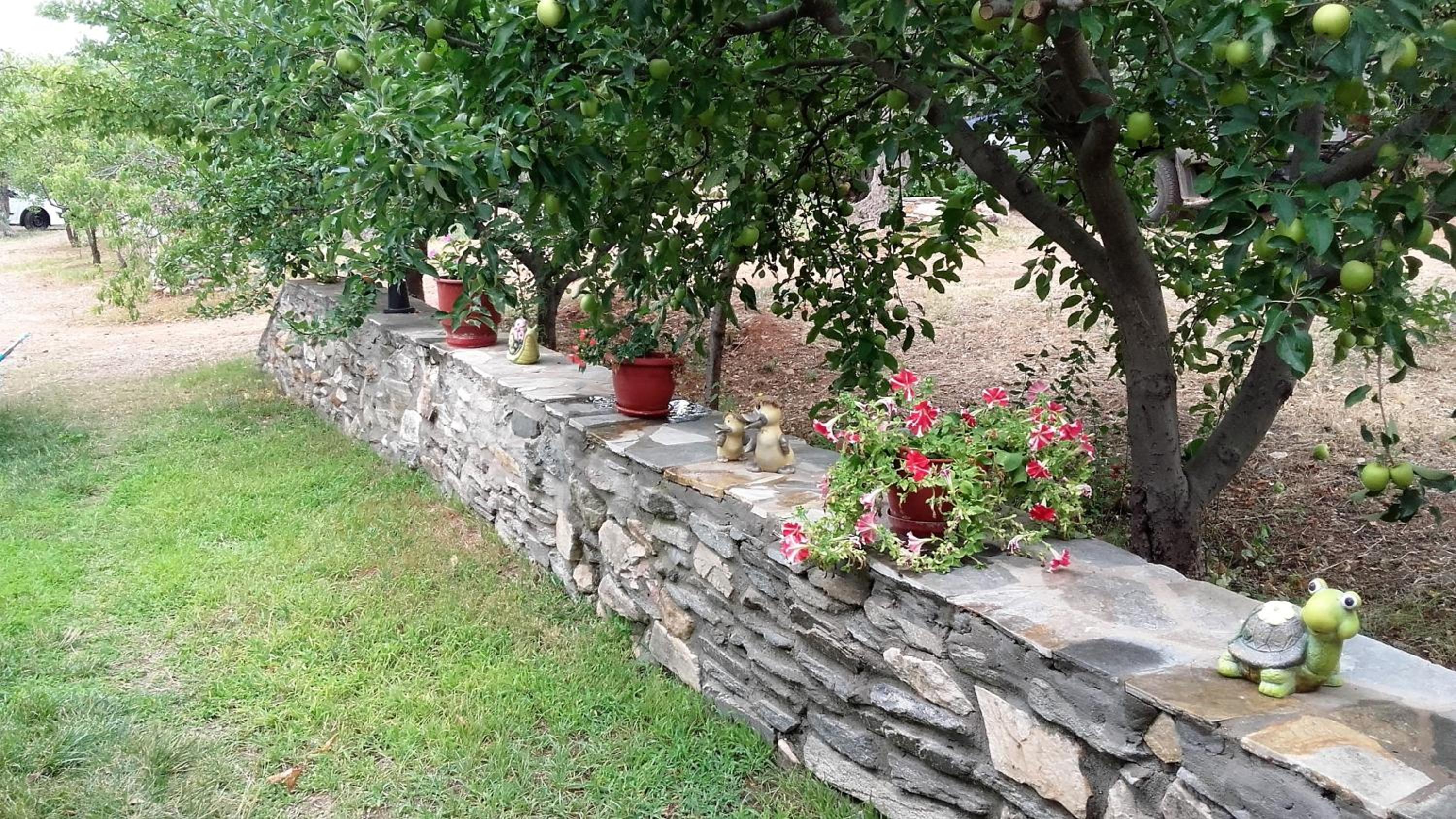 Studios Elianthos