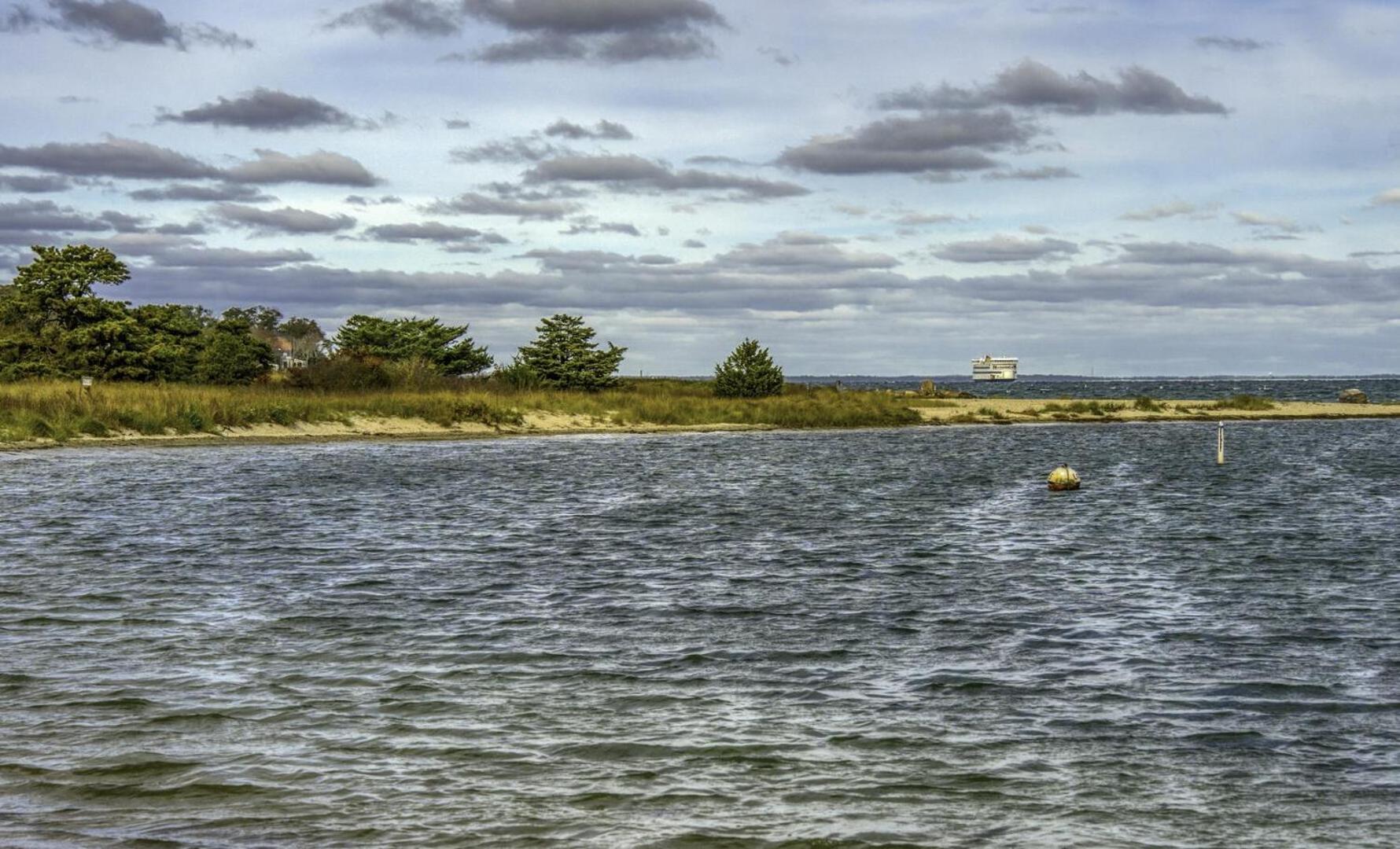 Bring Your Pup, Walk to Beach! Vineyard Haven Home