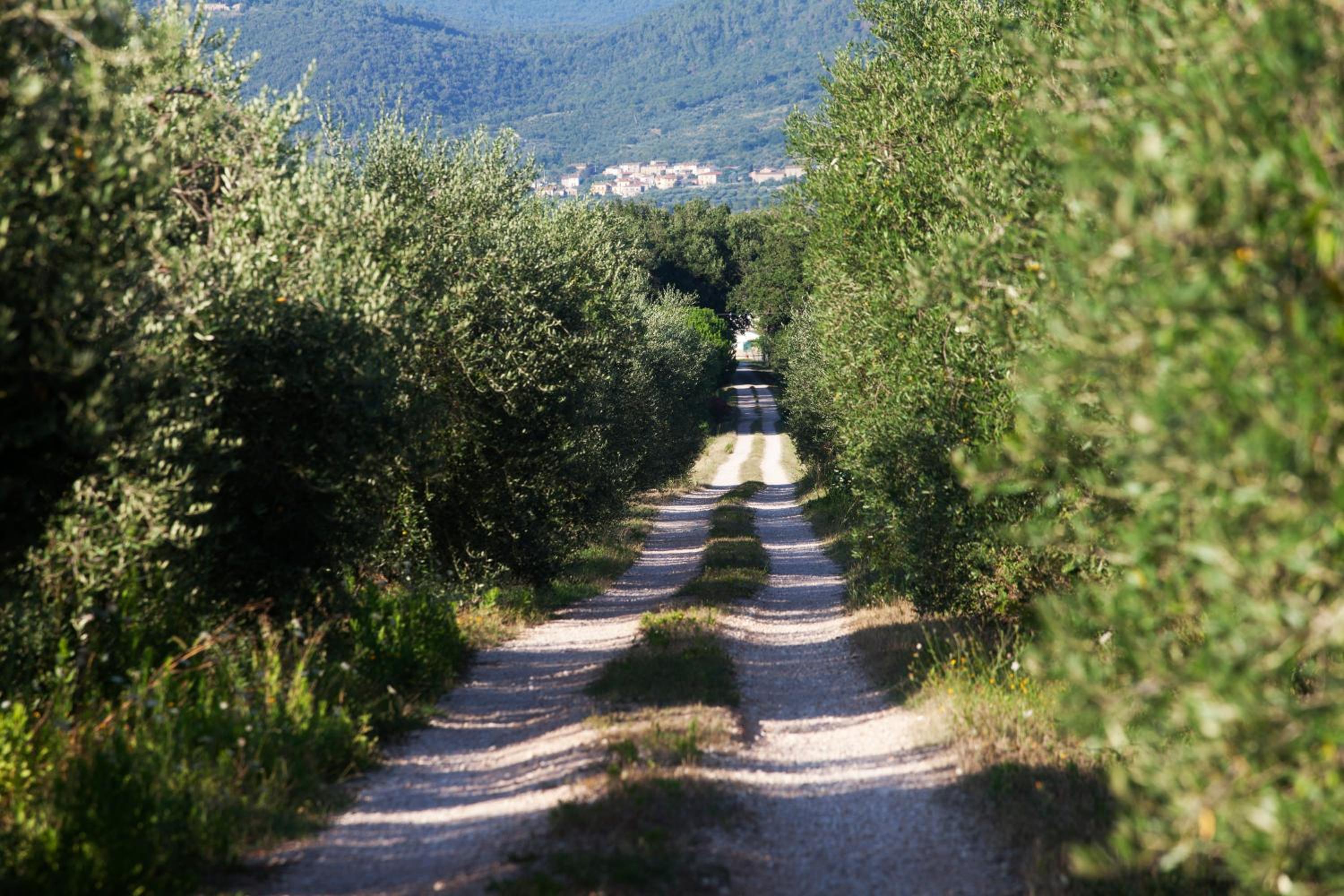 Borgo Iris