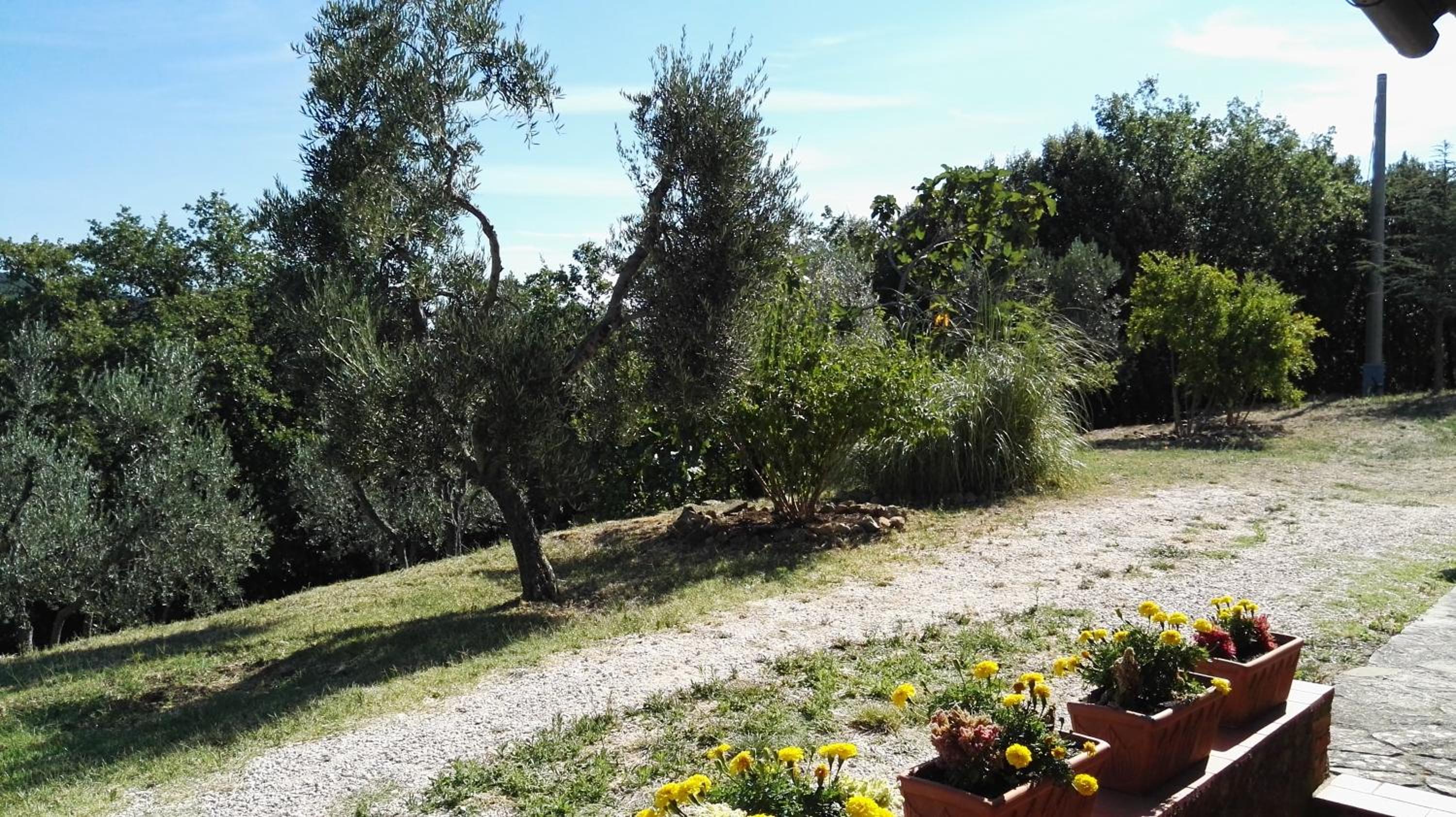 Colombaio In Colle view 5