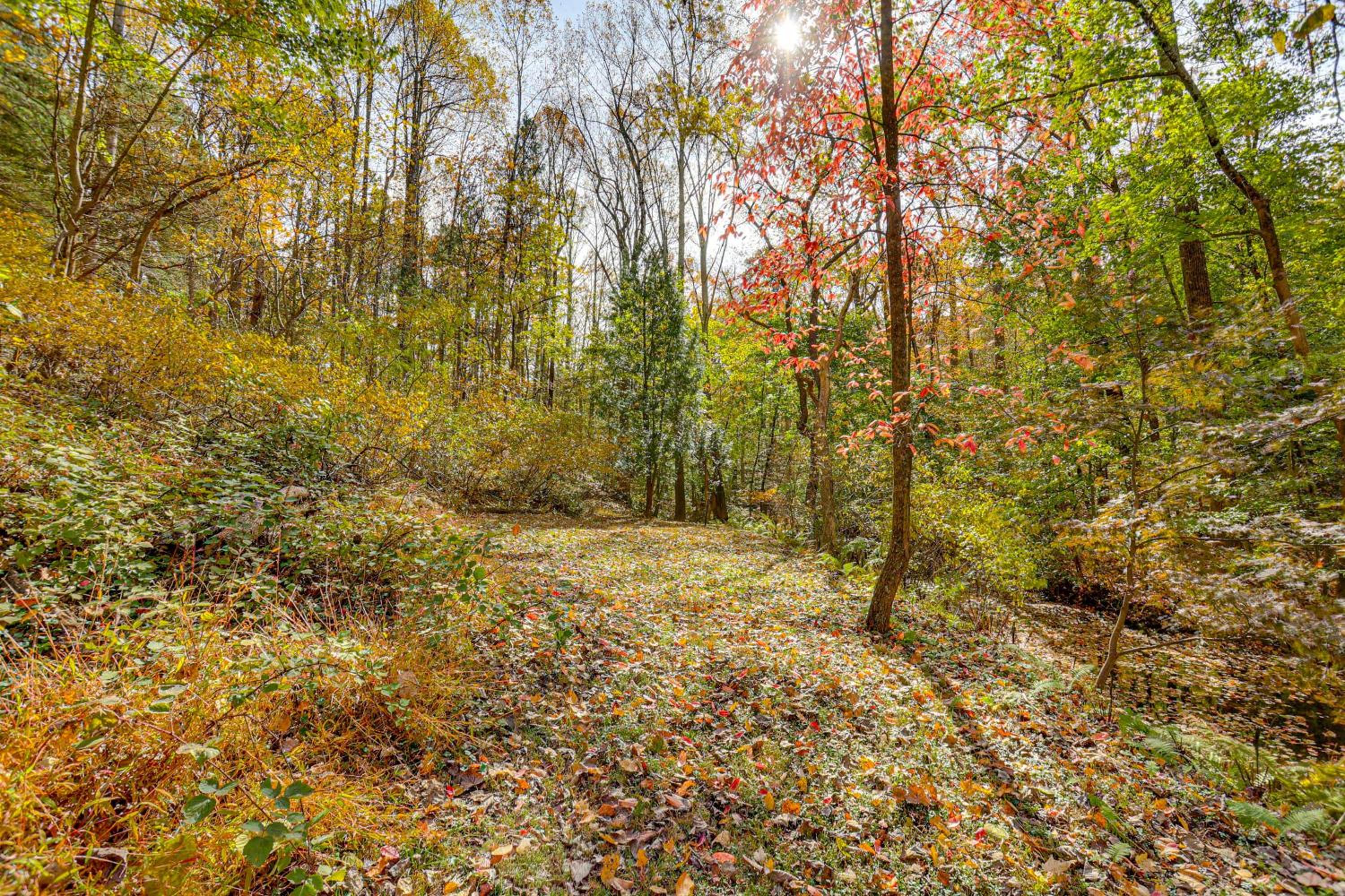 Serene Getaway with Trail Access in Chester Springs