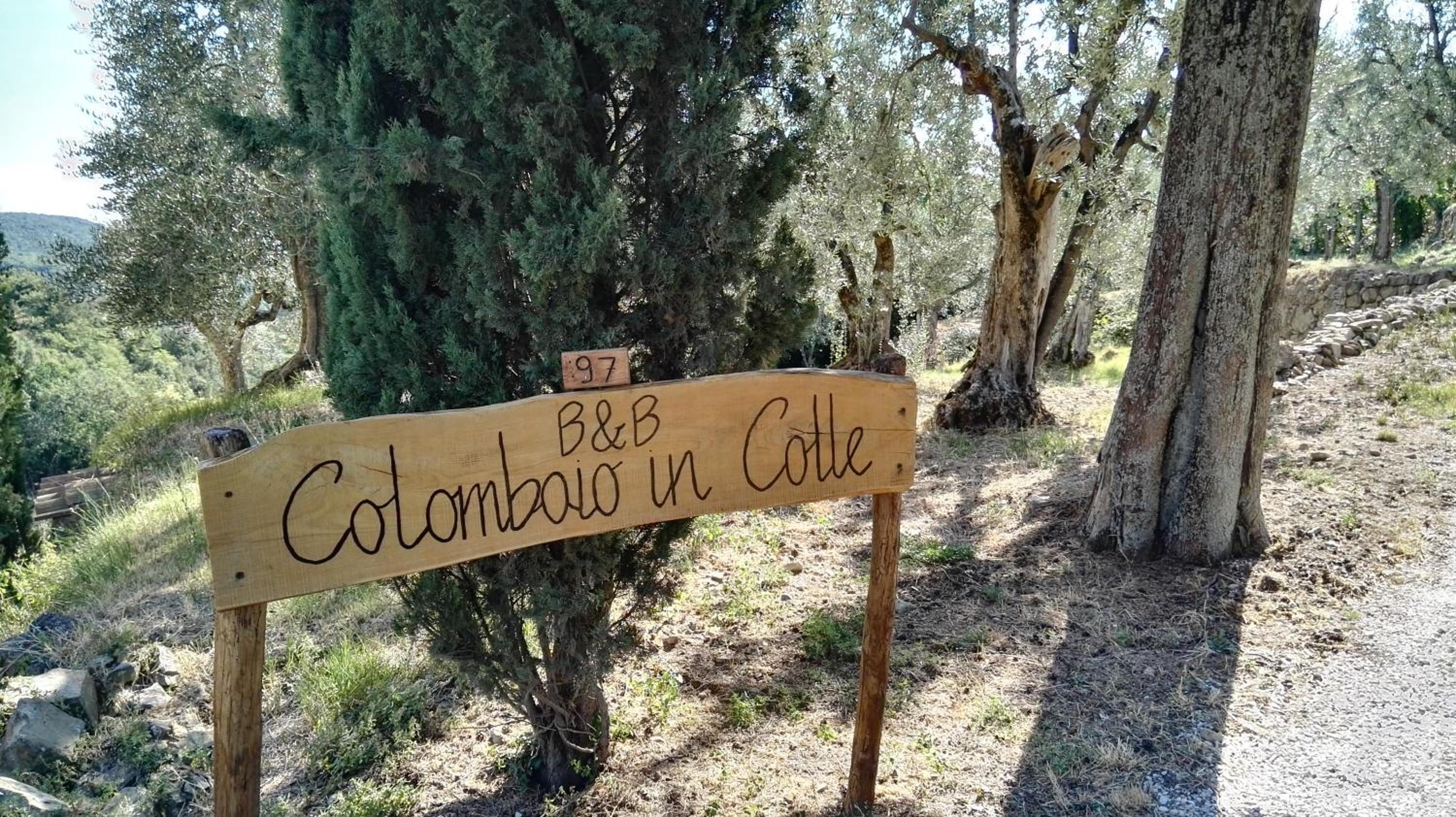 Colombaio In Colle view 4