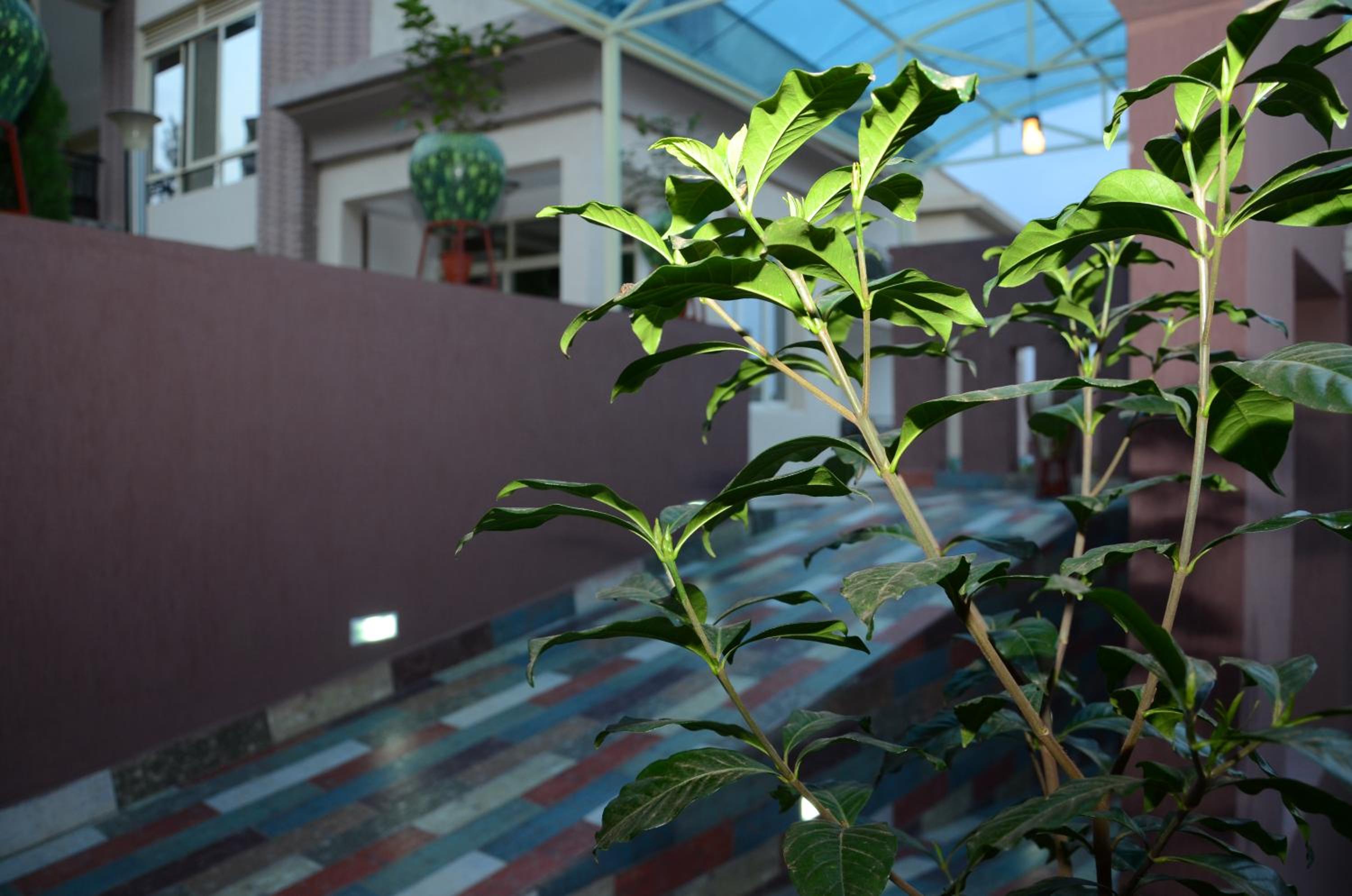 Grazia Apartment Hotel