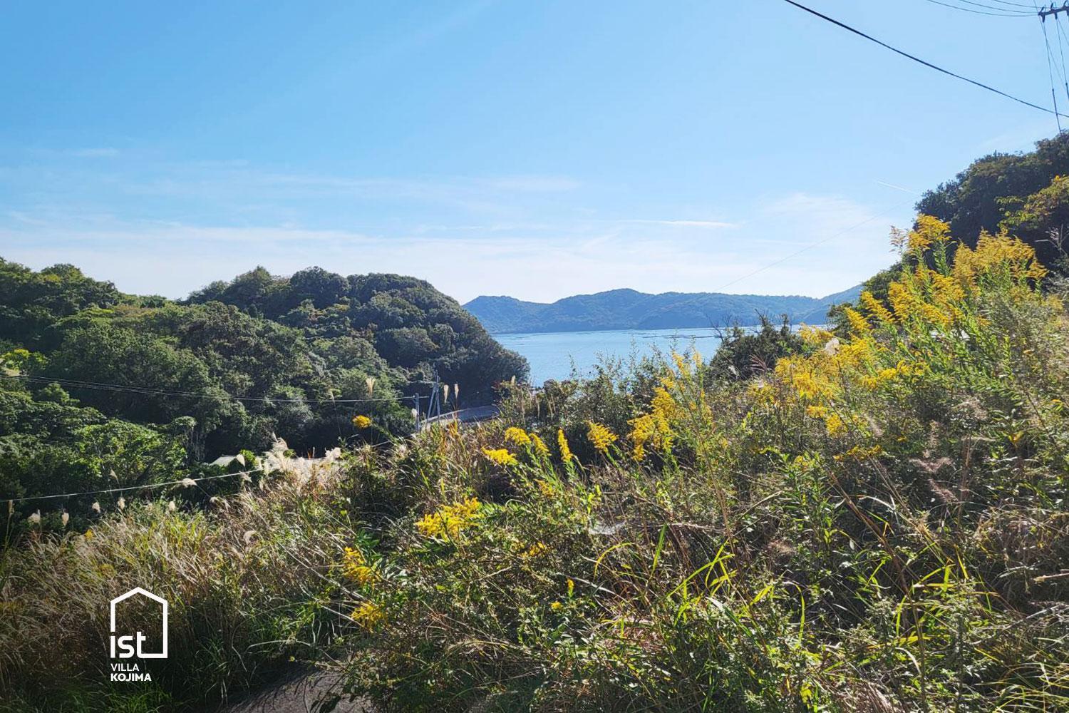 Ultra Private Off Grid Island Villa Near the Beach Mandarin Farm Setting