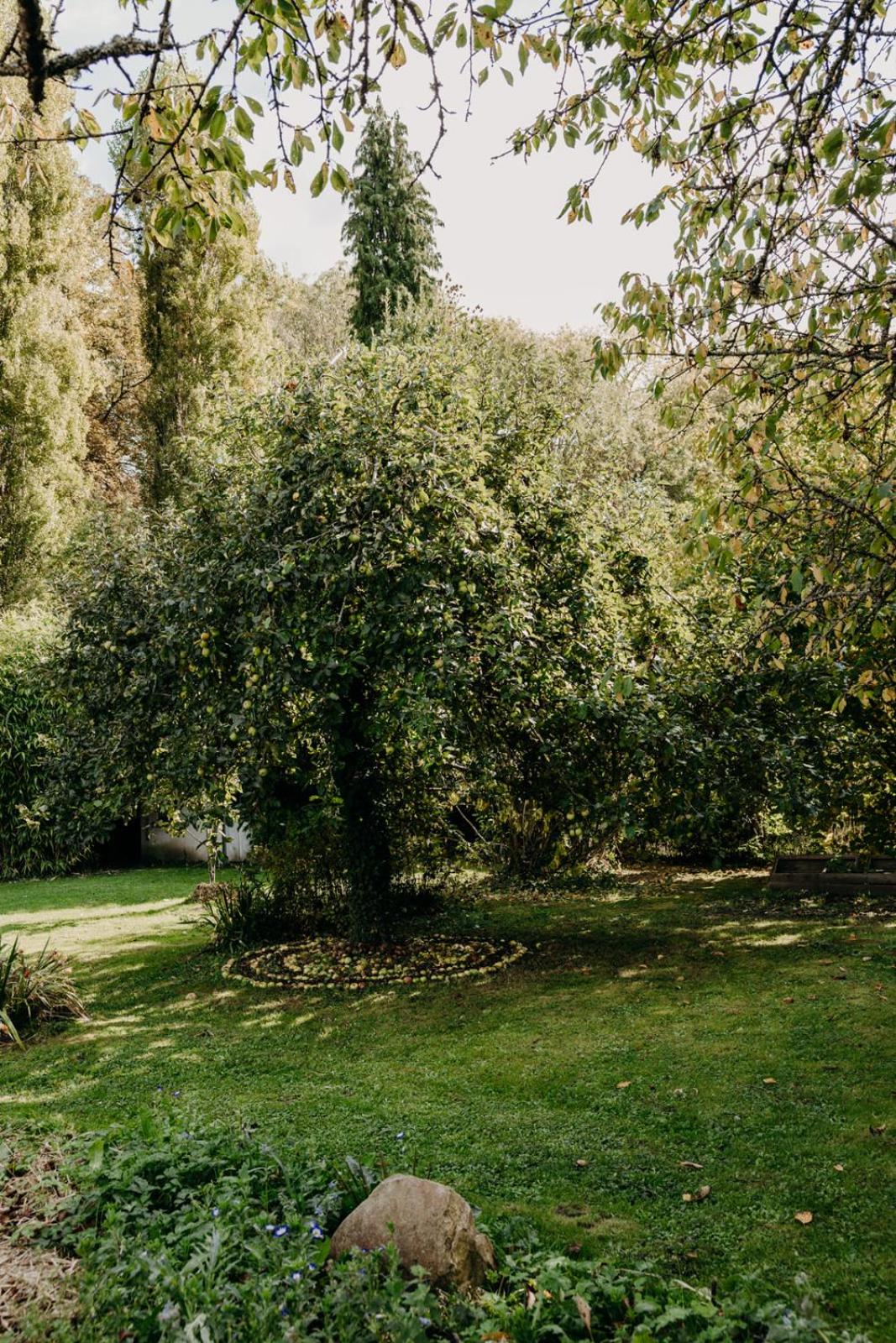 Photo 17