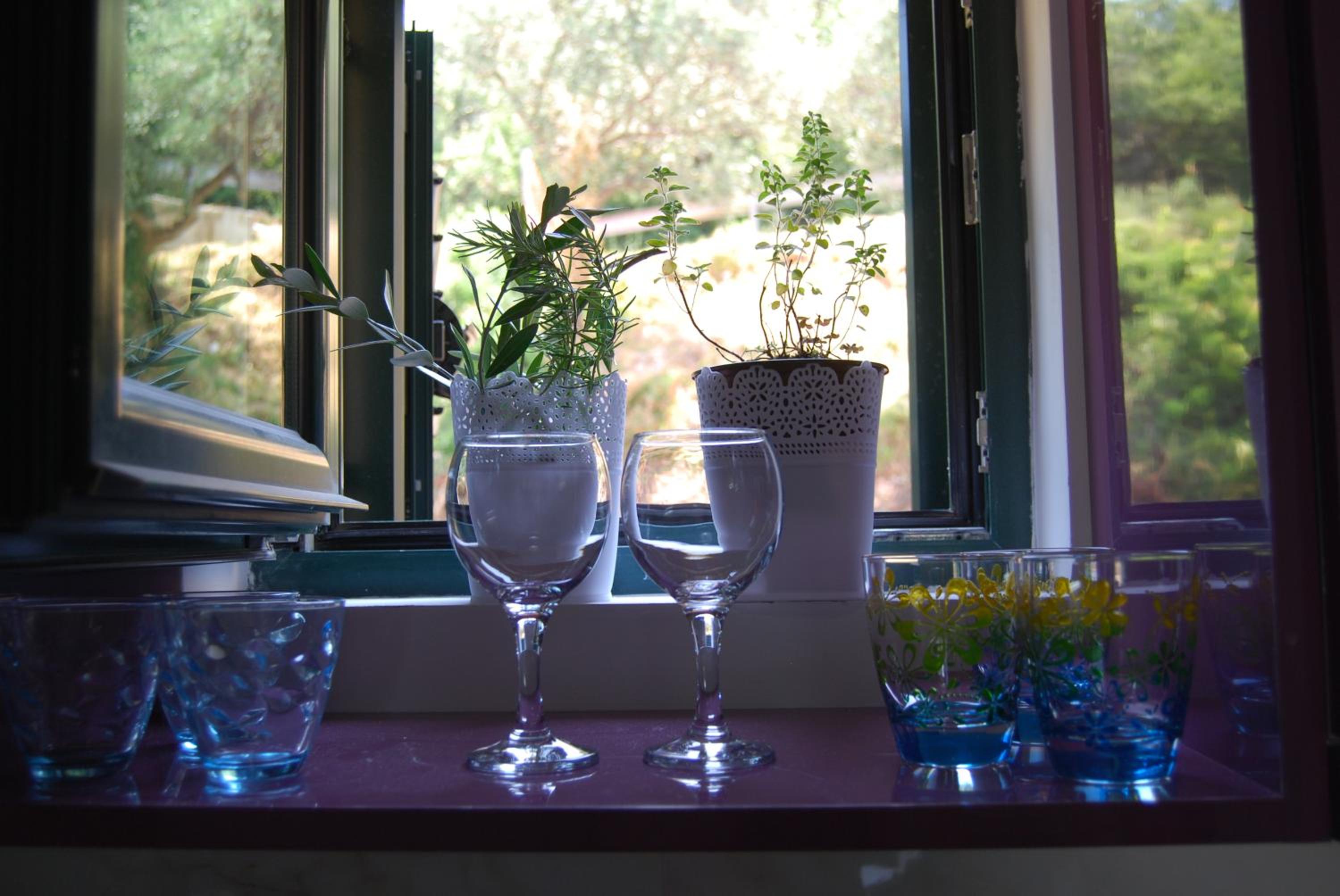 Apartment Divina
