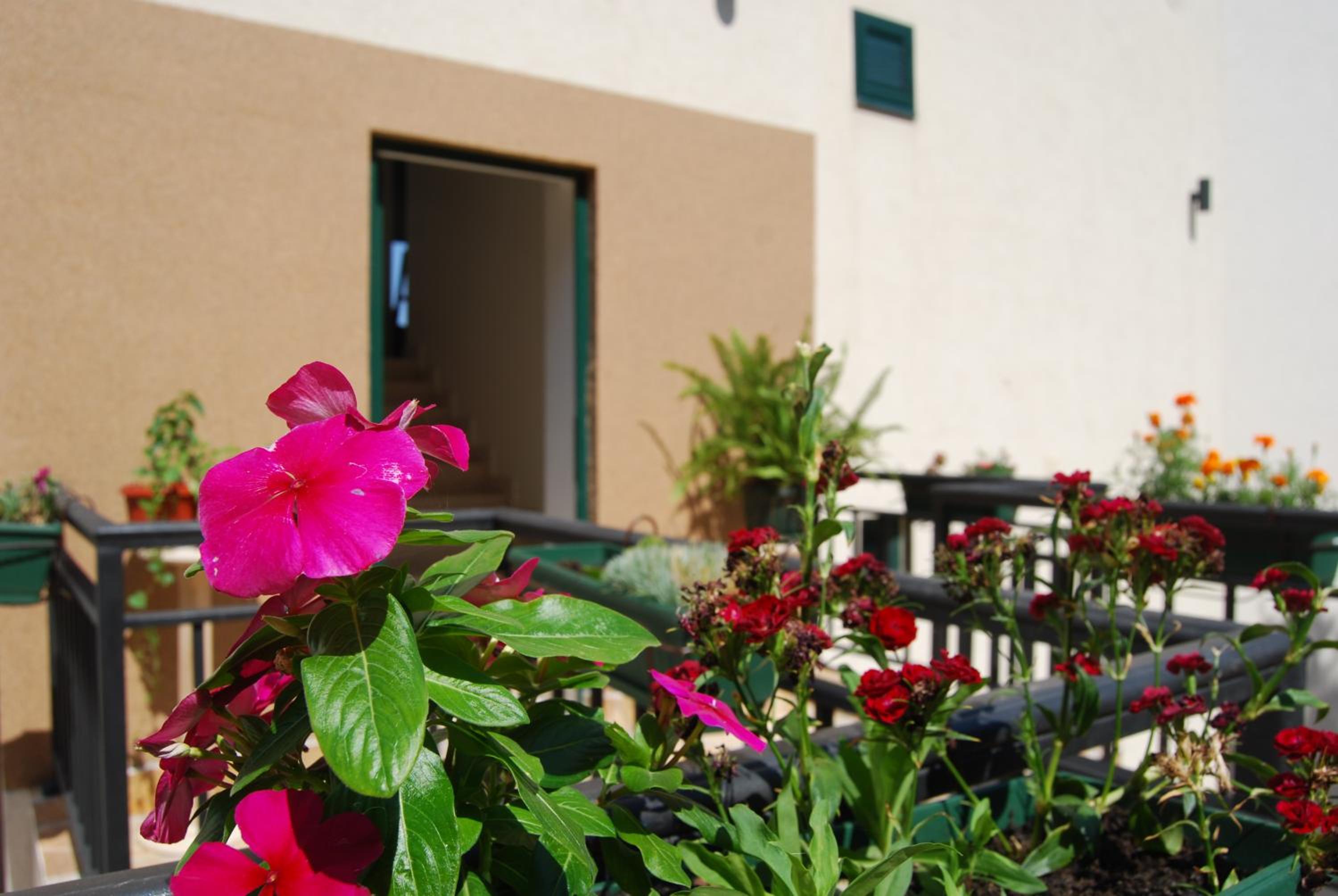 Apartment Divina