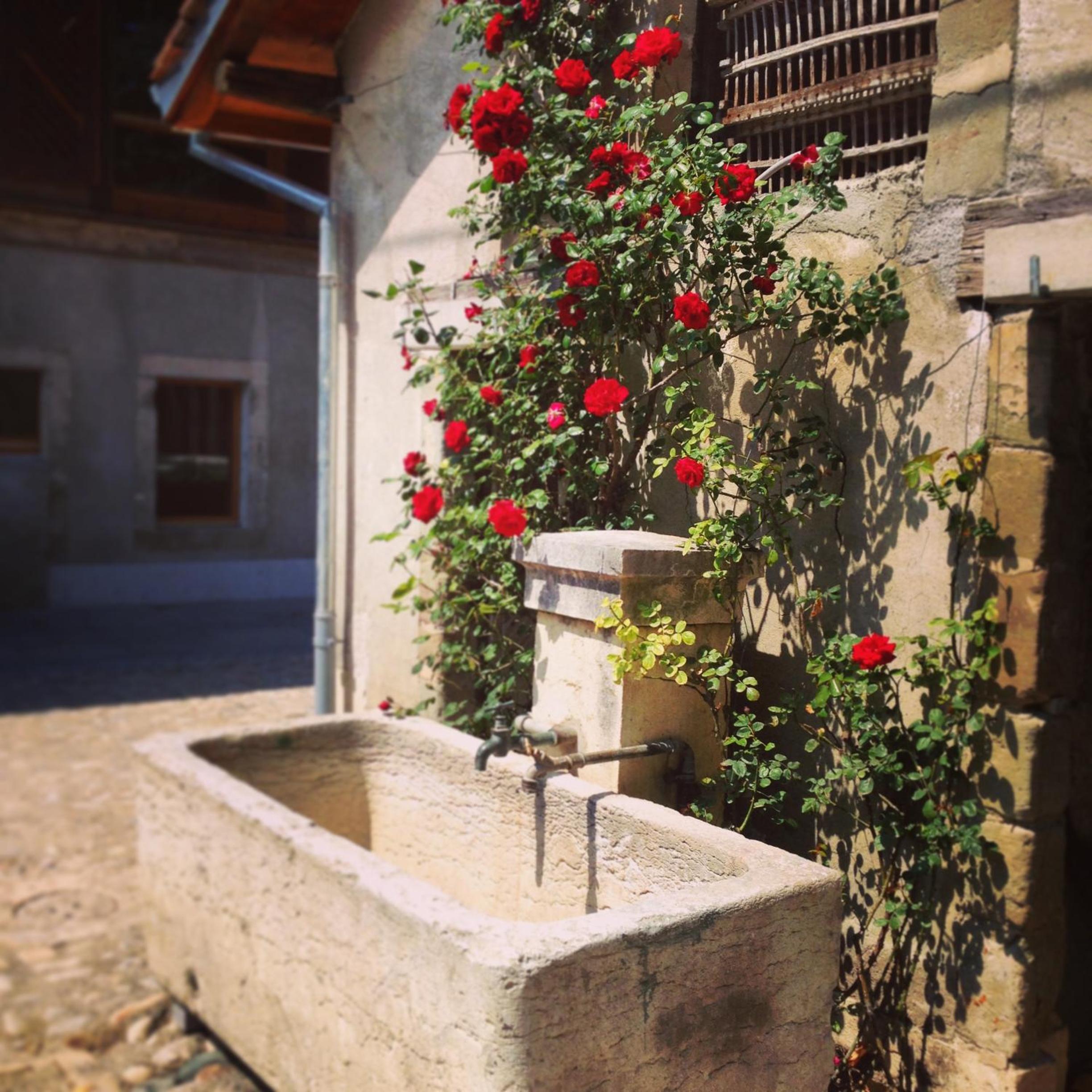 La Ferme du Lignon