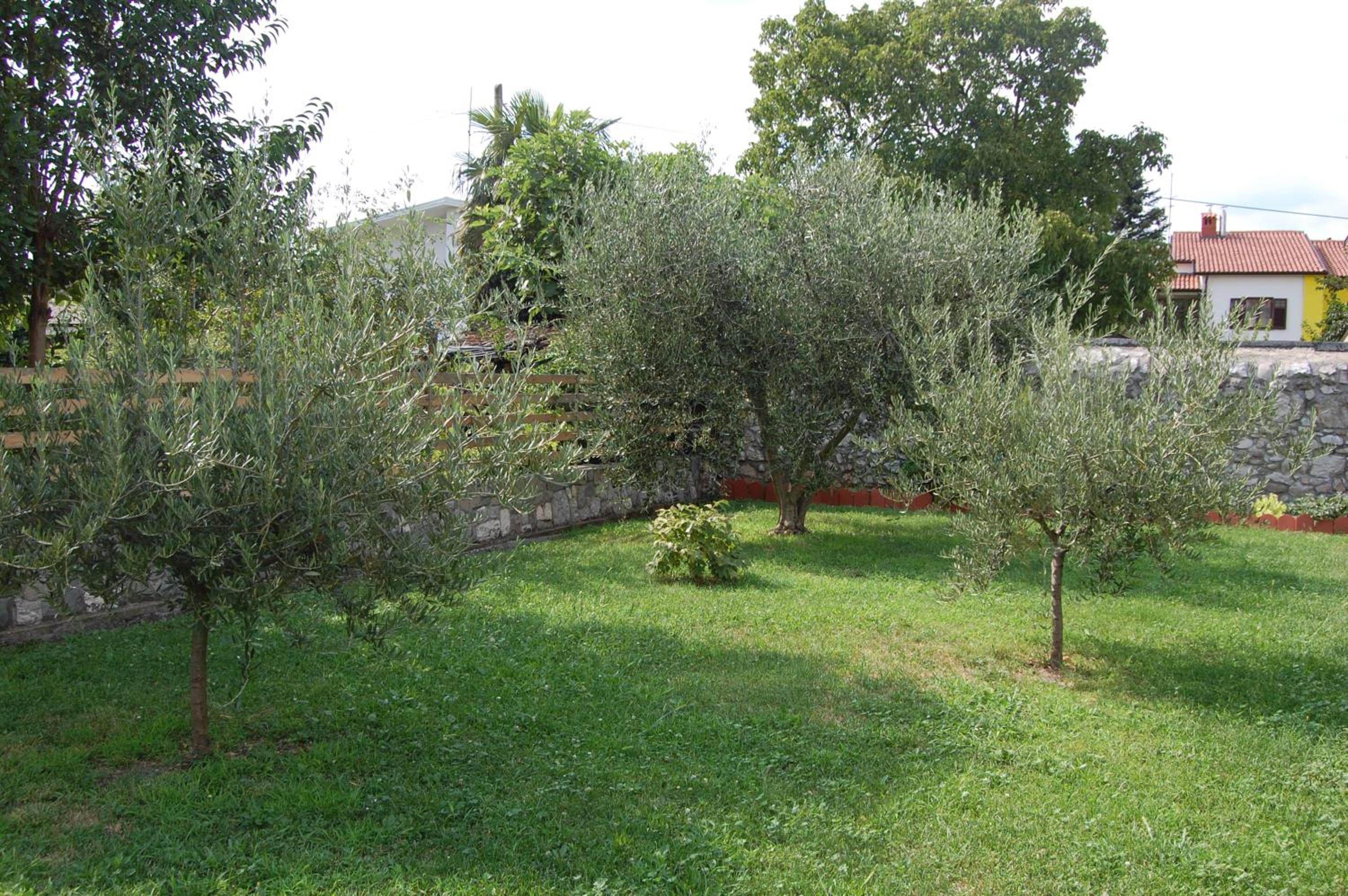 Andron, photo 24