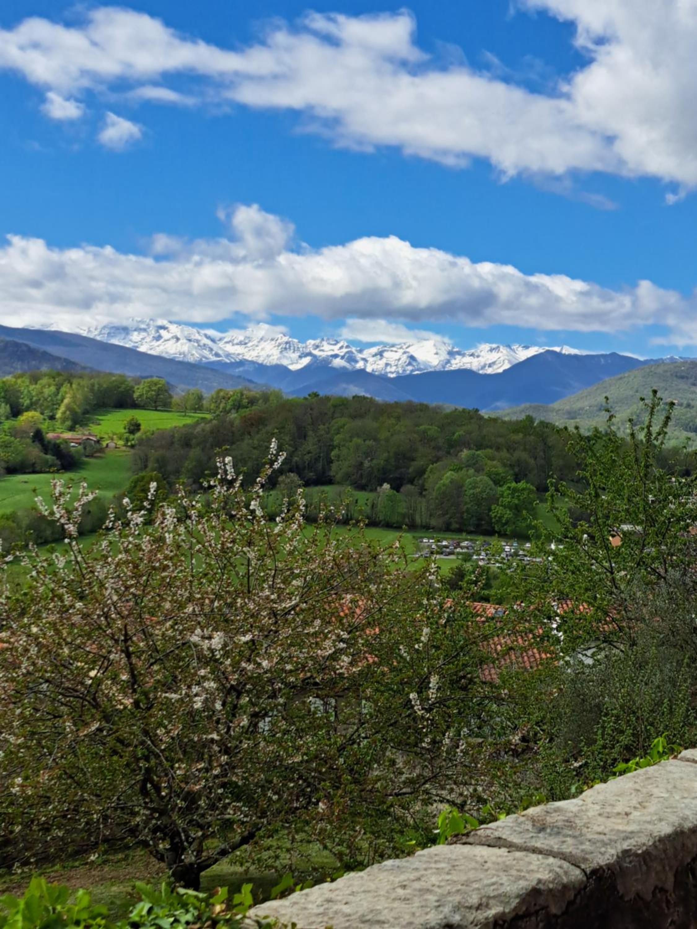 Terres de France - Domaine du Palais, photo 9