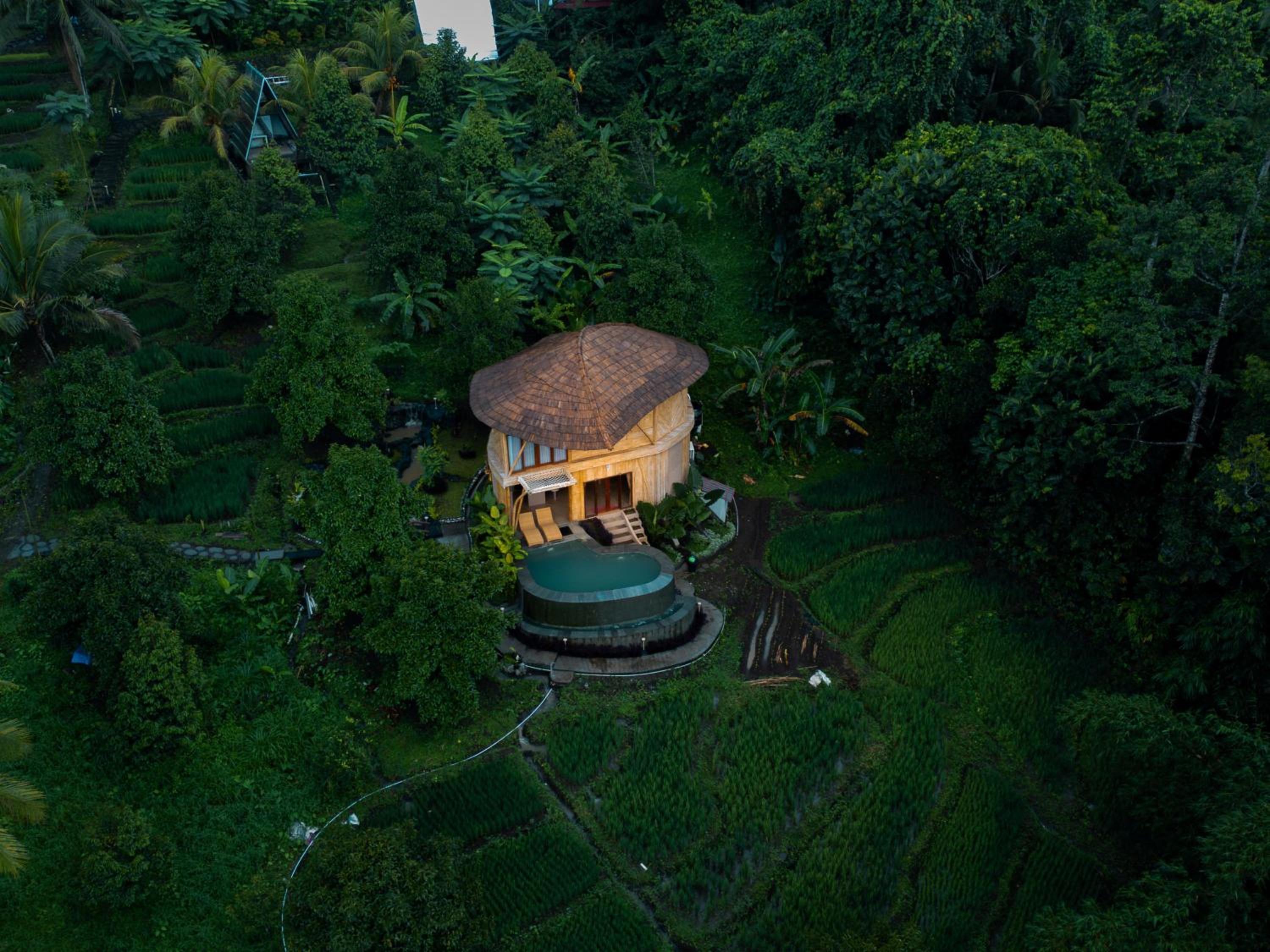 Green Oasis Retreats Bali By Amerta Experience
