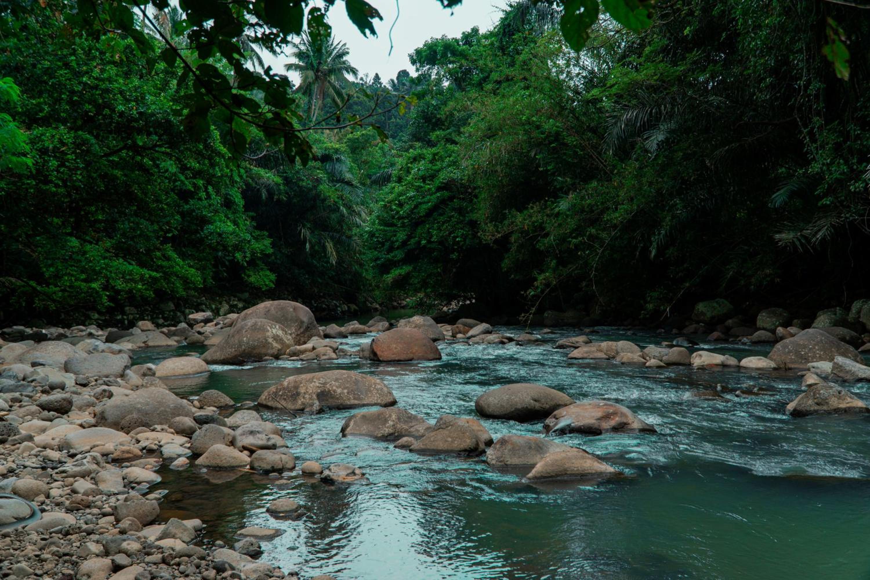 Green Oasis Retreats Bali By Amerta Experience