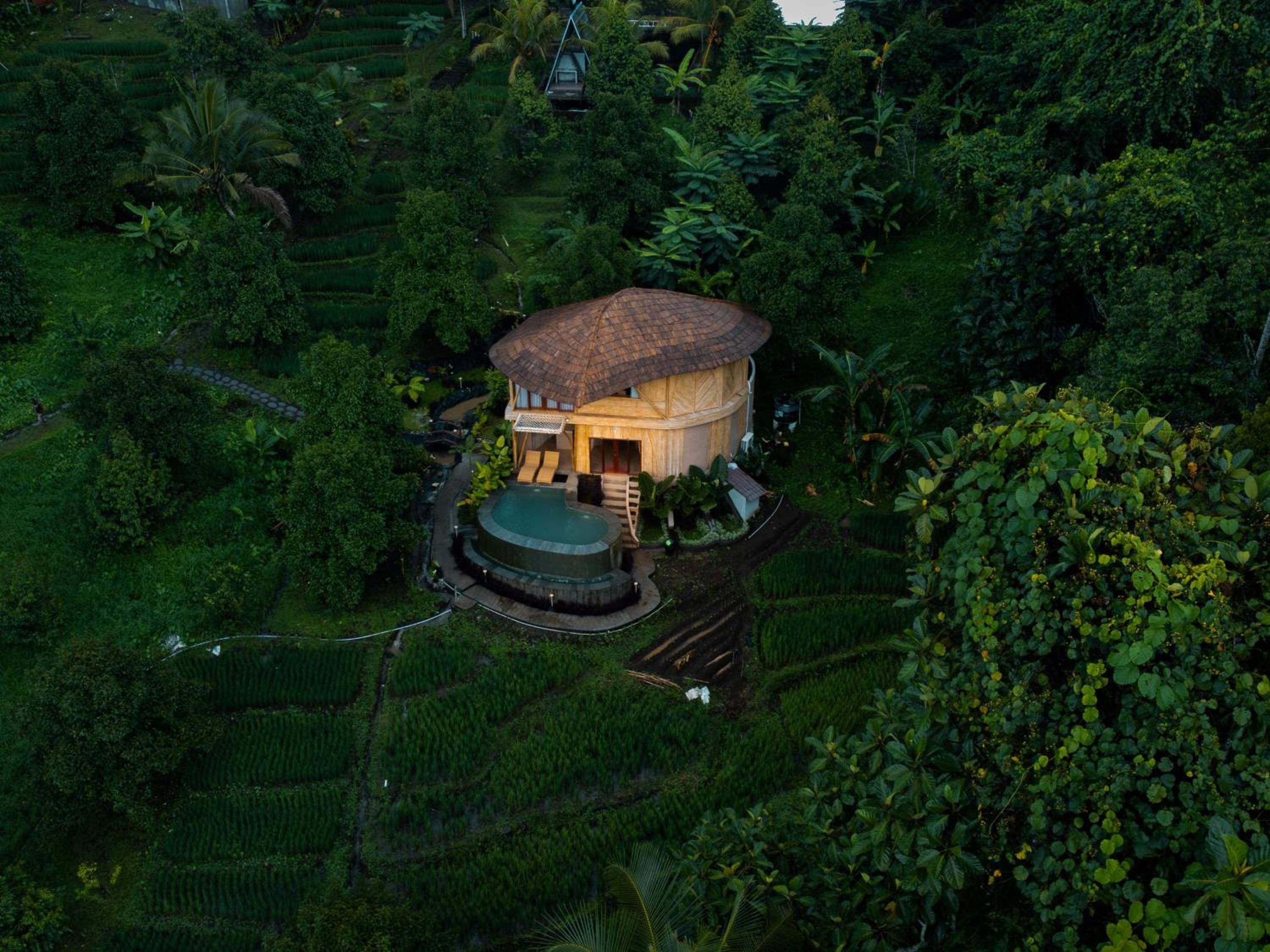 Green Oasis Retreats Bali By Amerta Experience