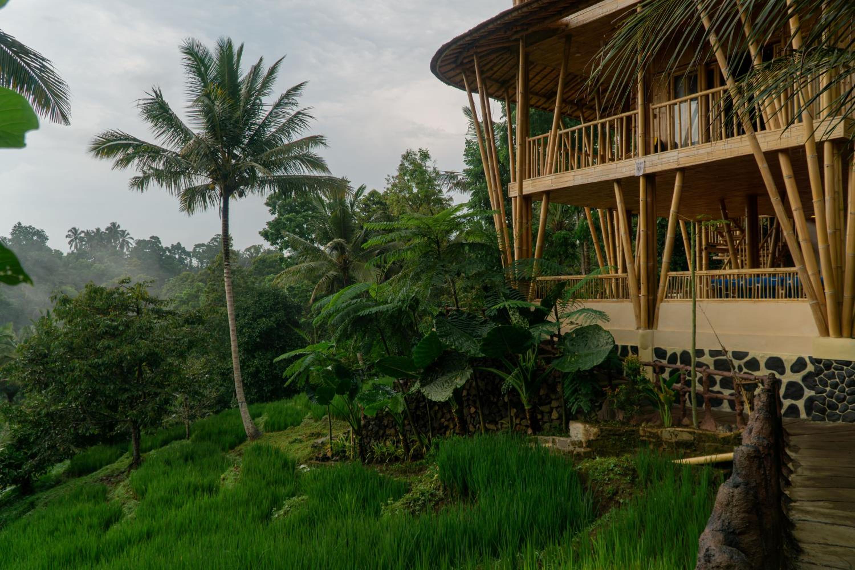 Green Oasis Retreats Bali By Amerta Experience