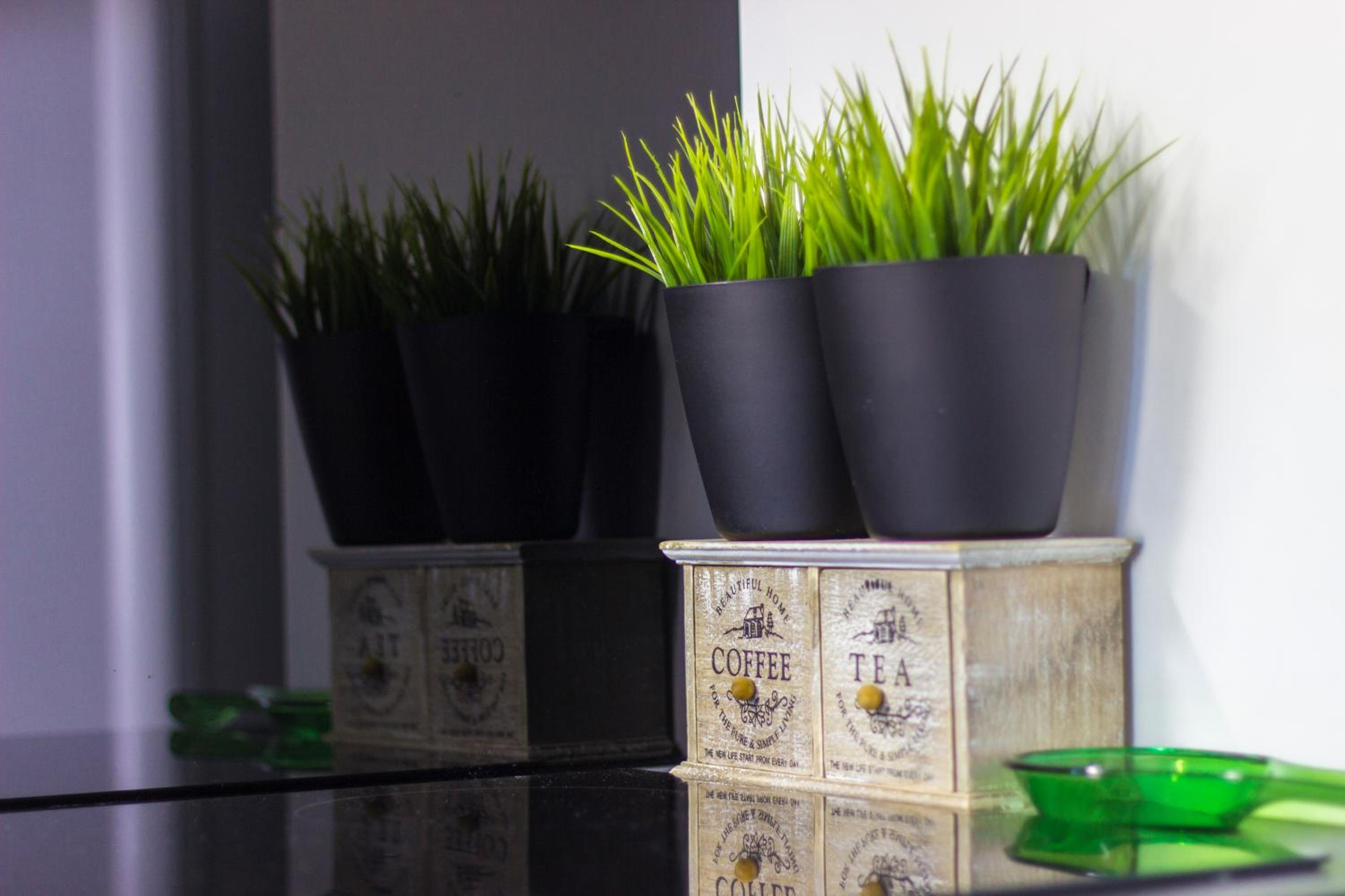 Apartments Slavica
