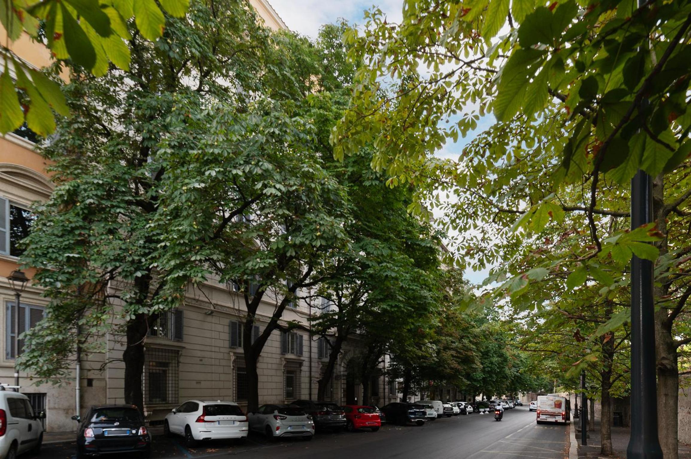 Cozy 1BR apartment, perfect to live la dolce vita