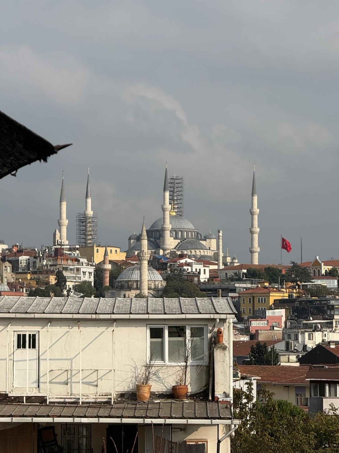 İstanbul Nest