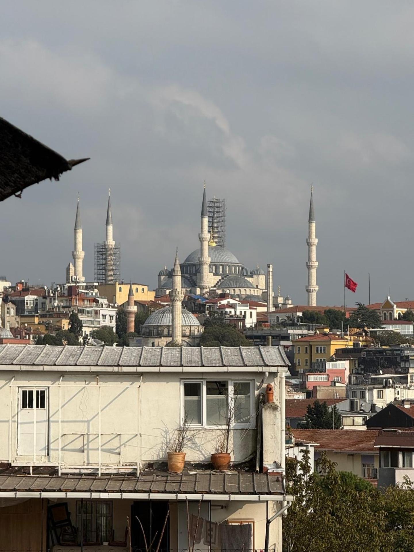 İstanbul Nest