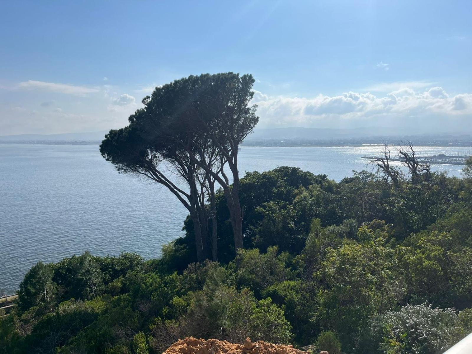Oceana Views