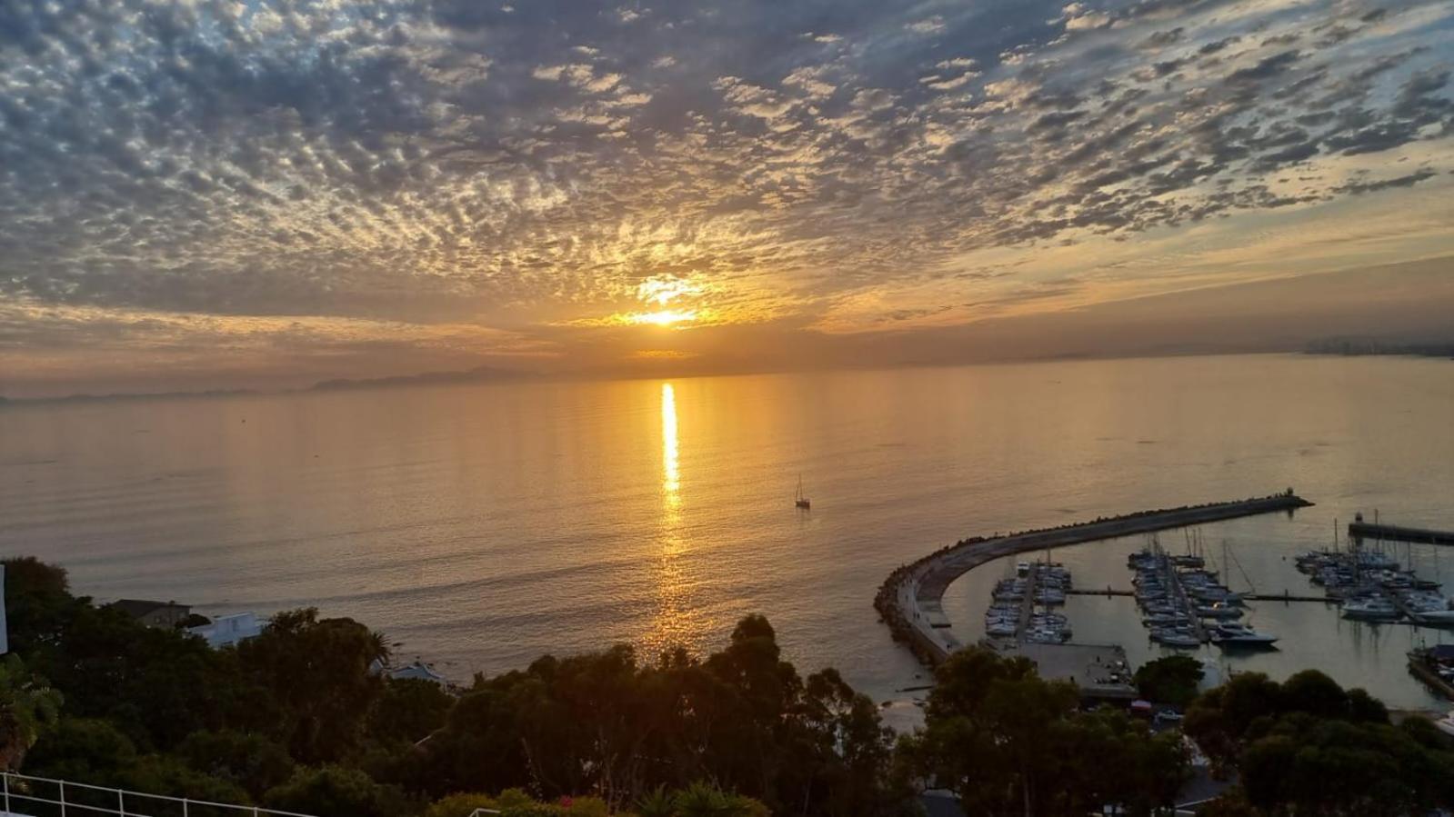 Oceana Views