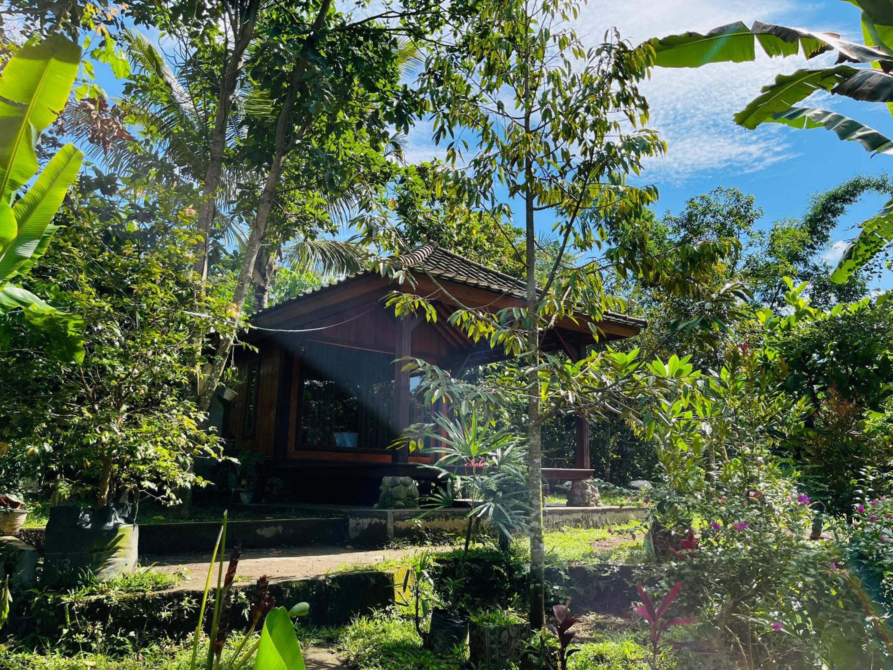 Arina's Cabin