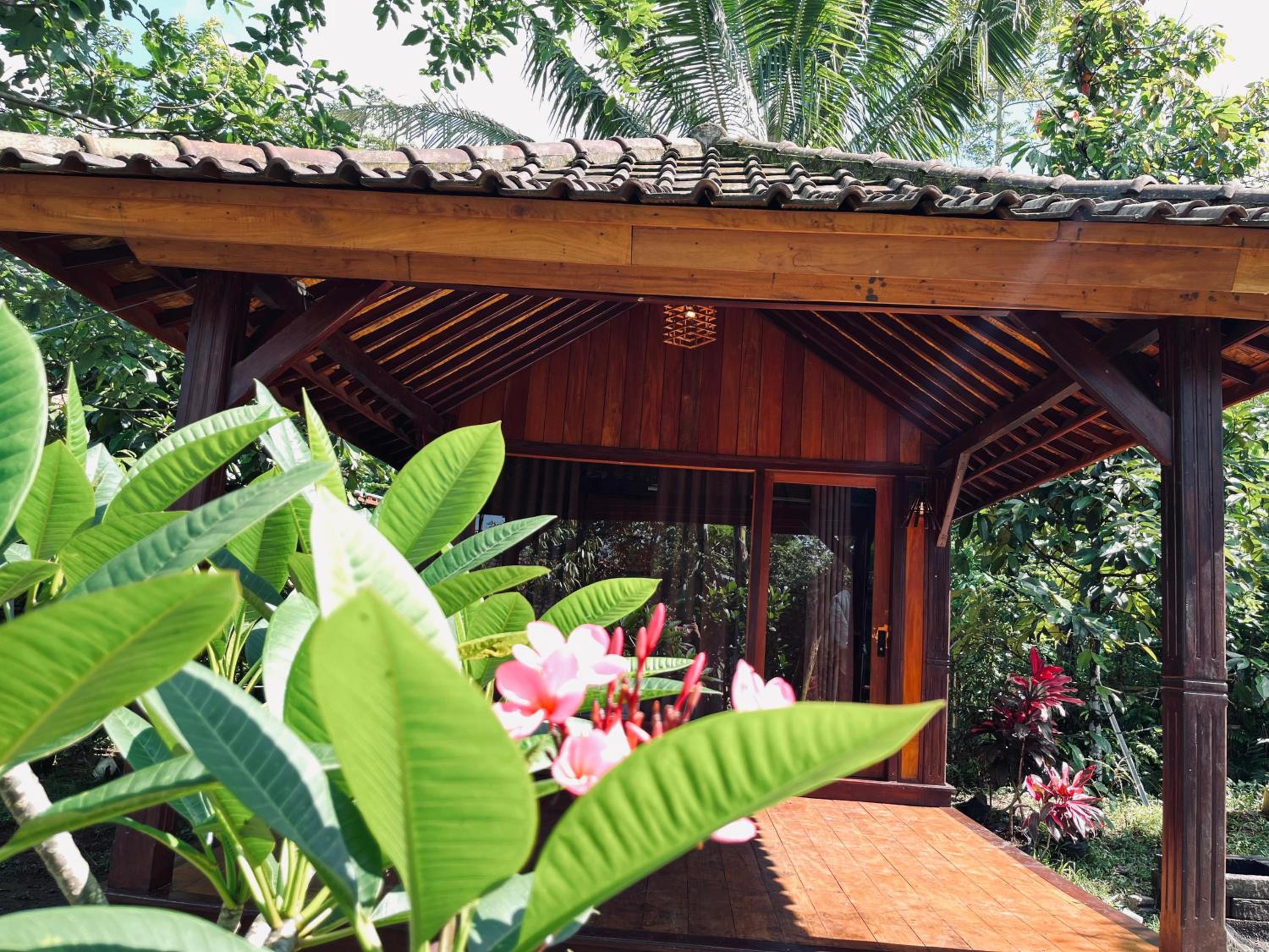 Arina's Cabin