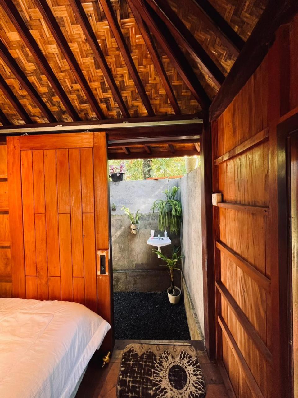 Arina's Cabin