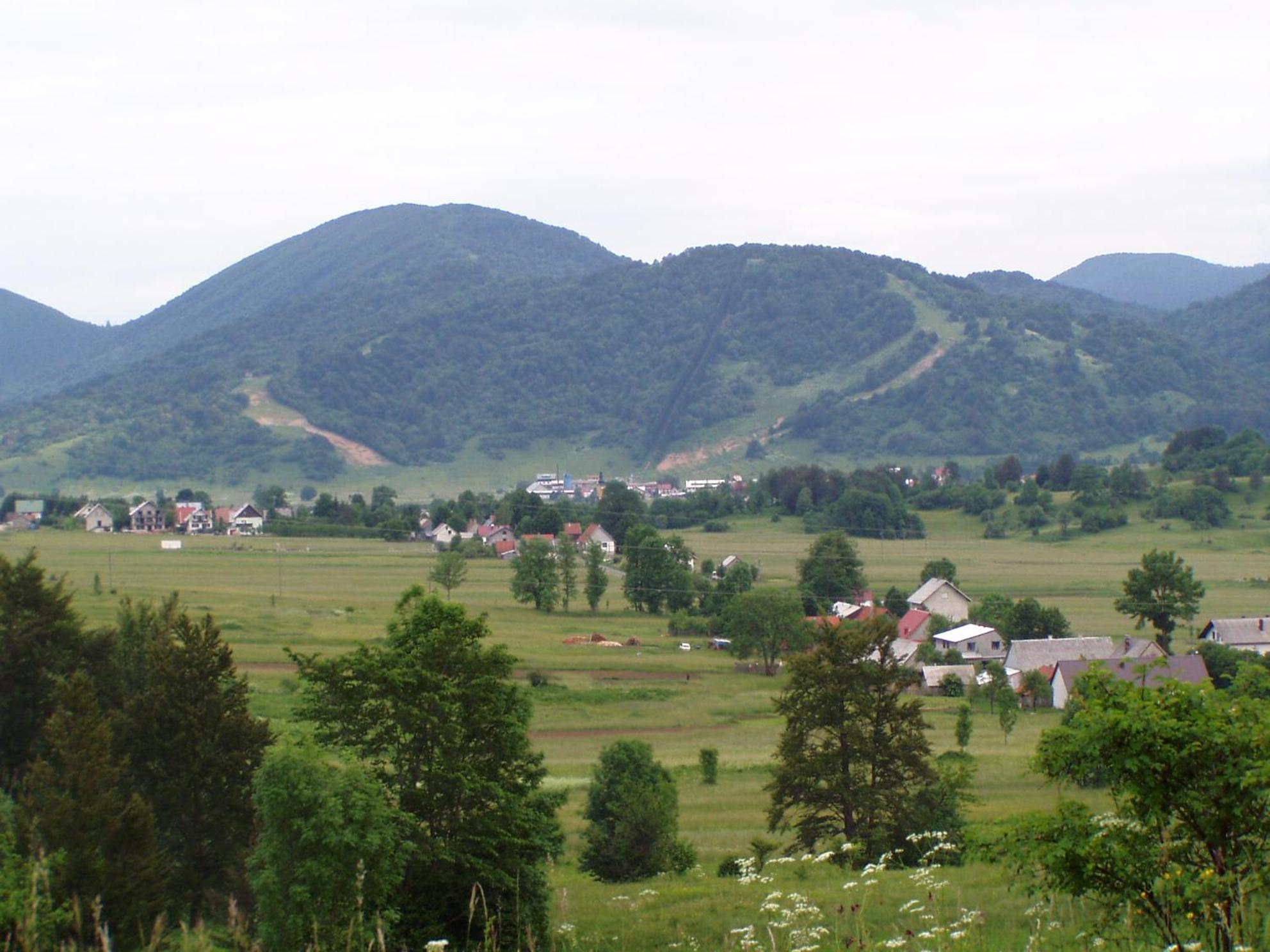 Photo 42