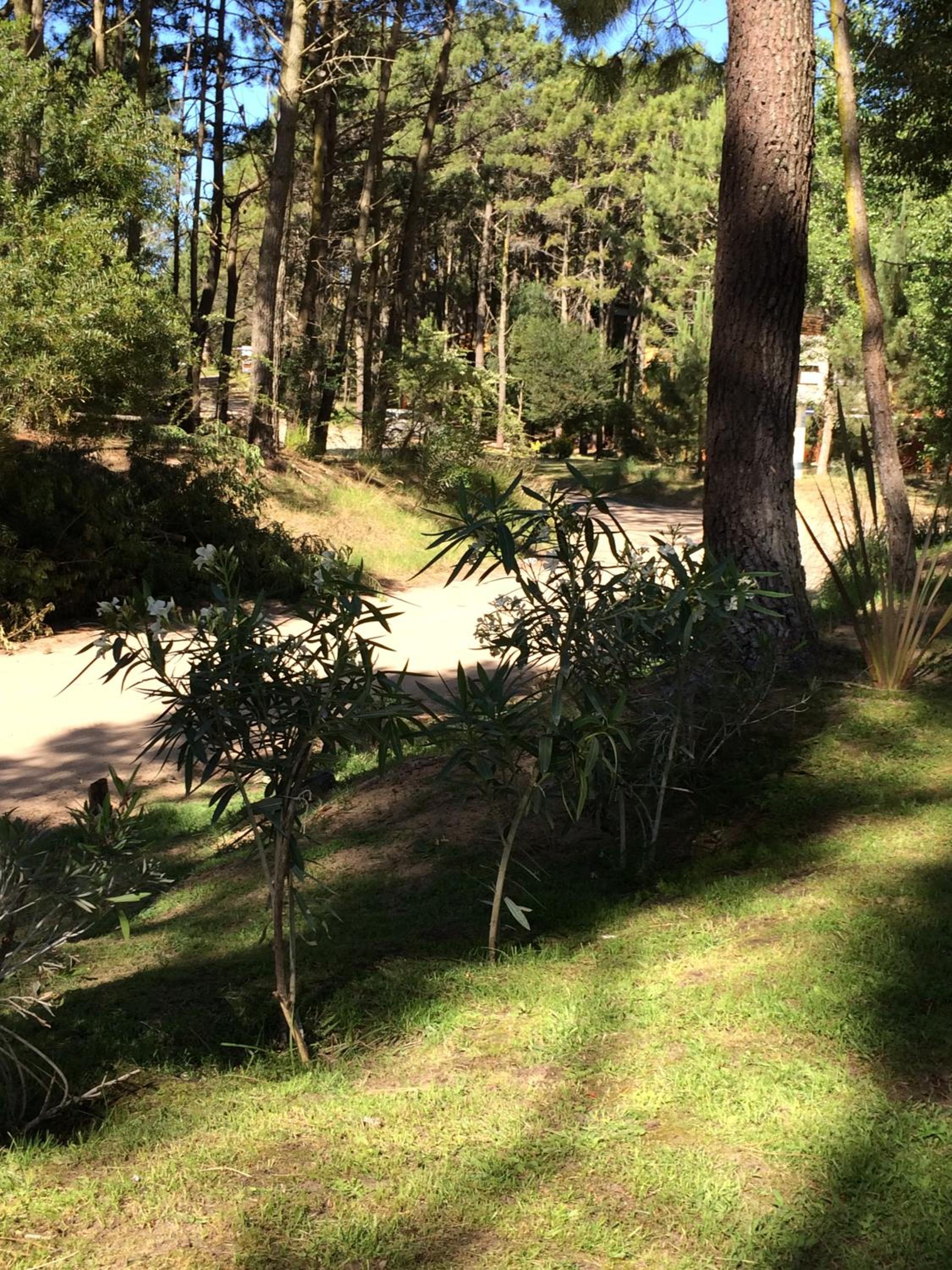 Rincon de las Pampas