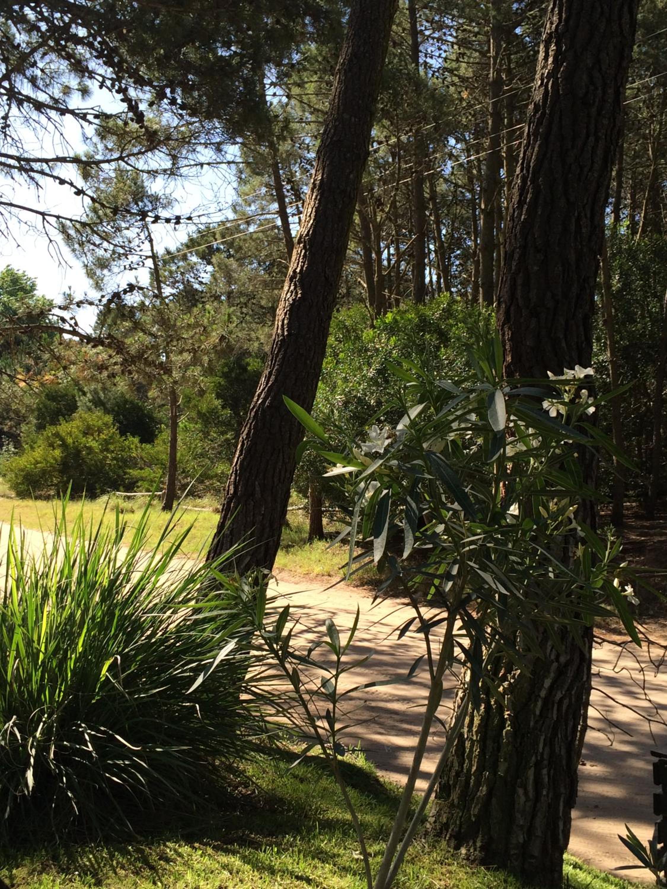 Rincon de las Pampas