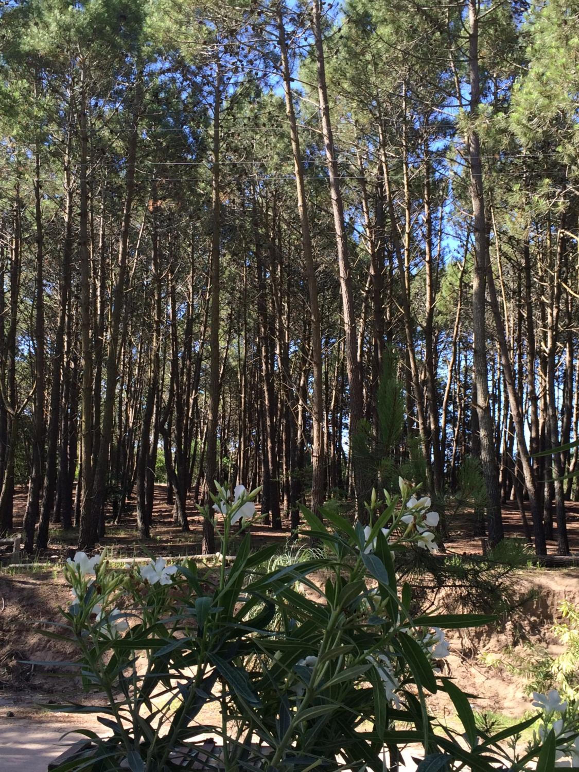 Rincon de las Pampas