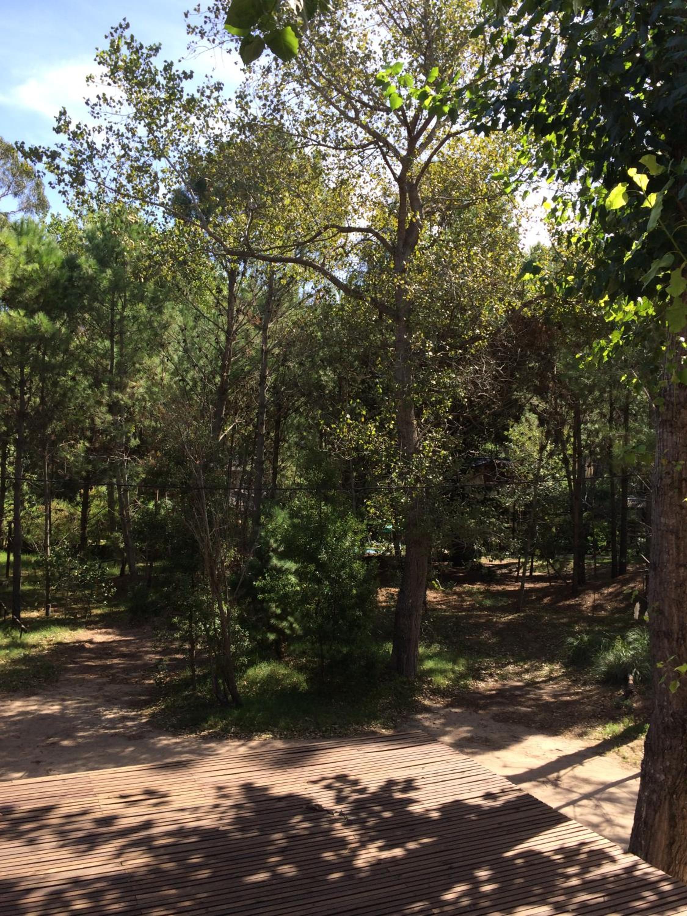 Rincon de las Pampas