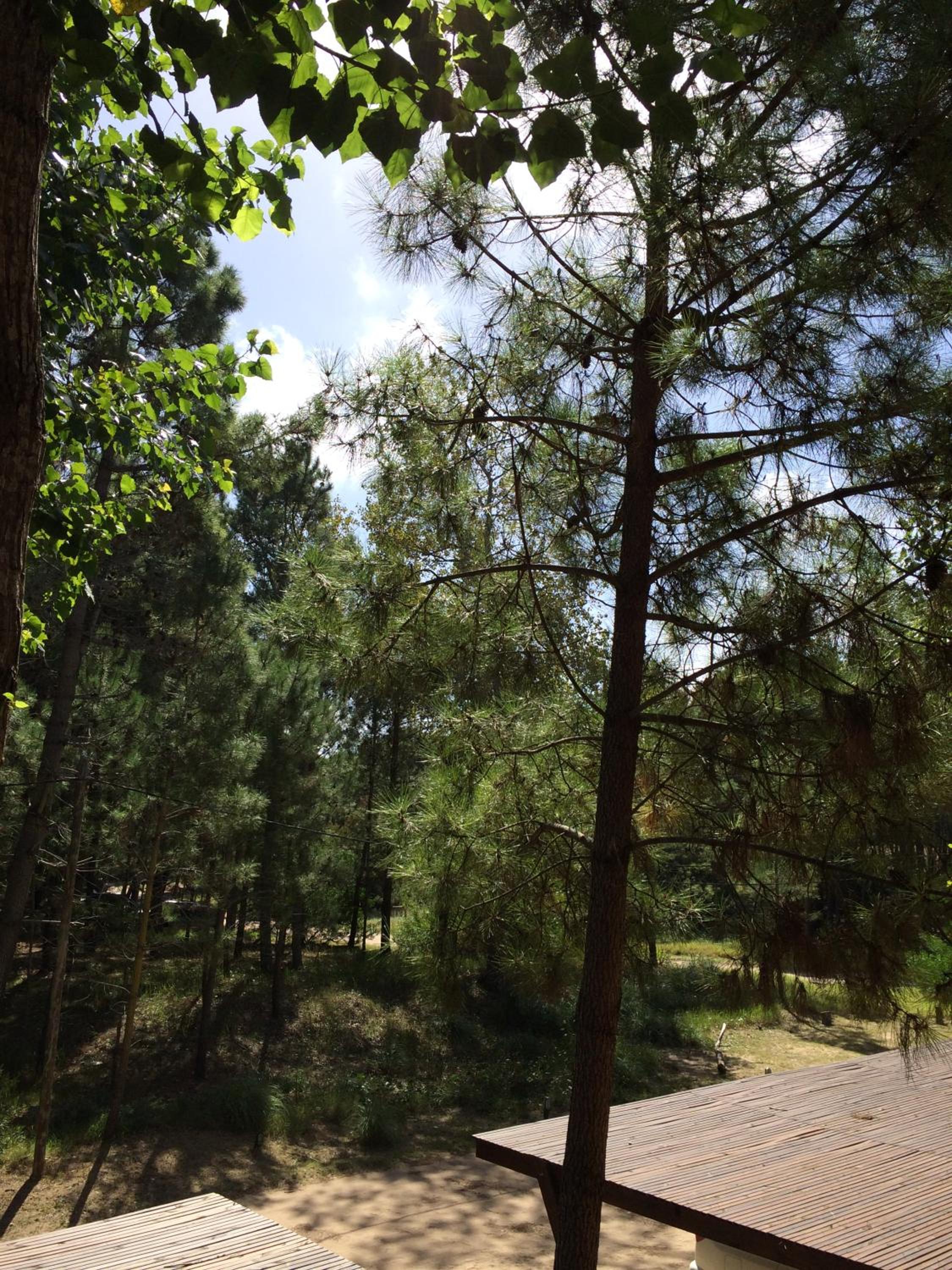 Rincon de las Pampas