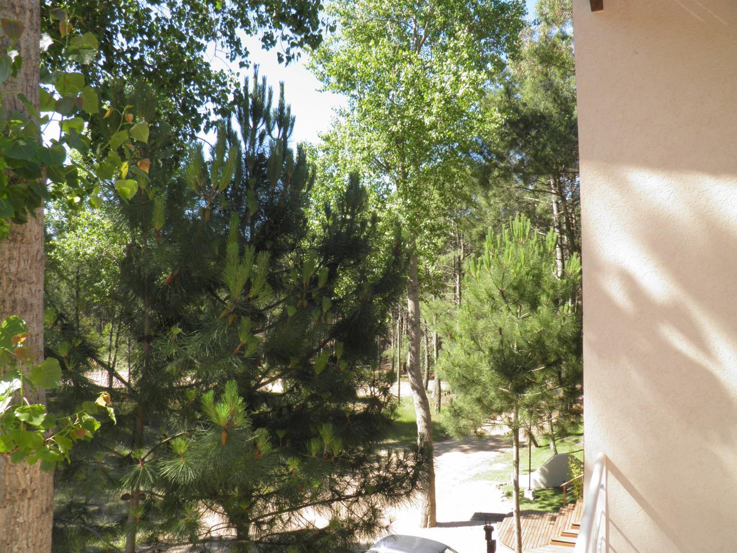 Rincon de las Pampas