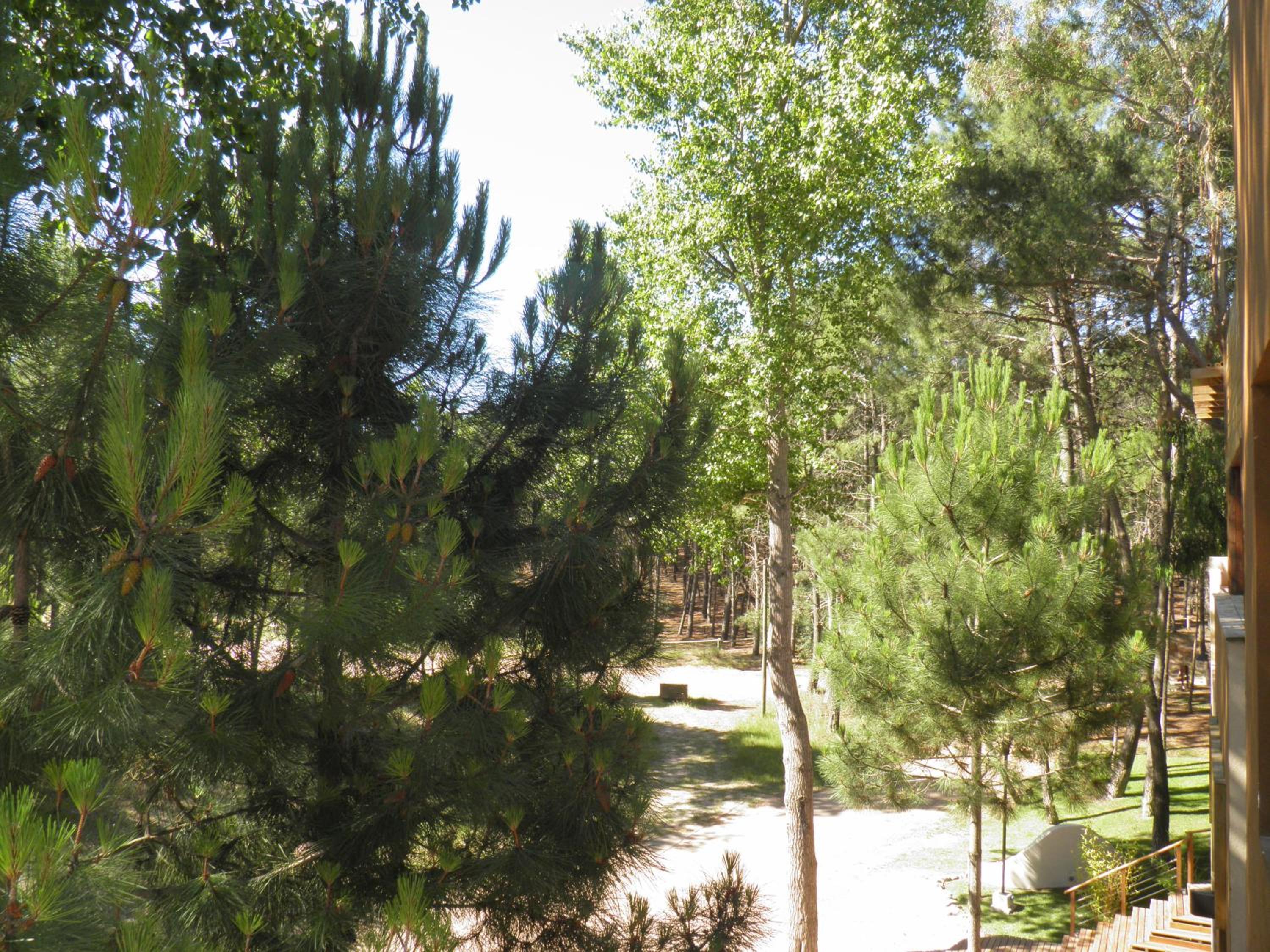 Rincon de las Pampas