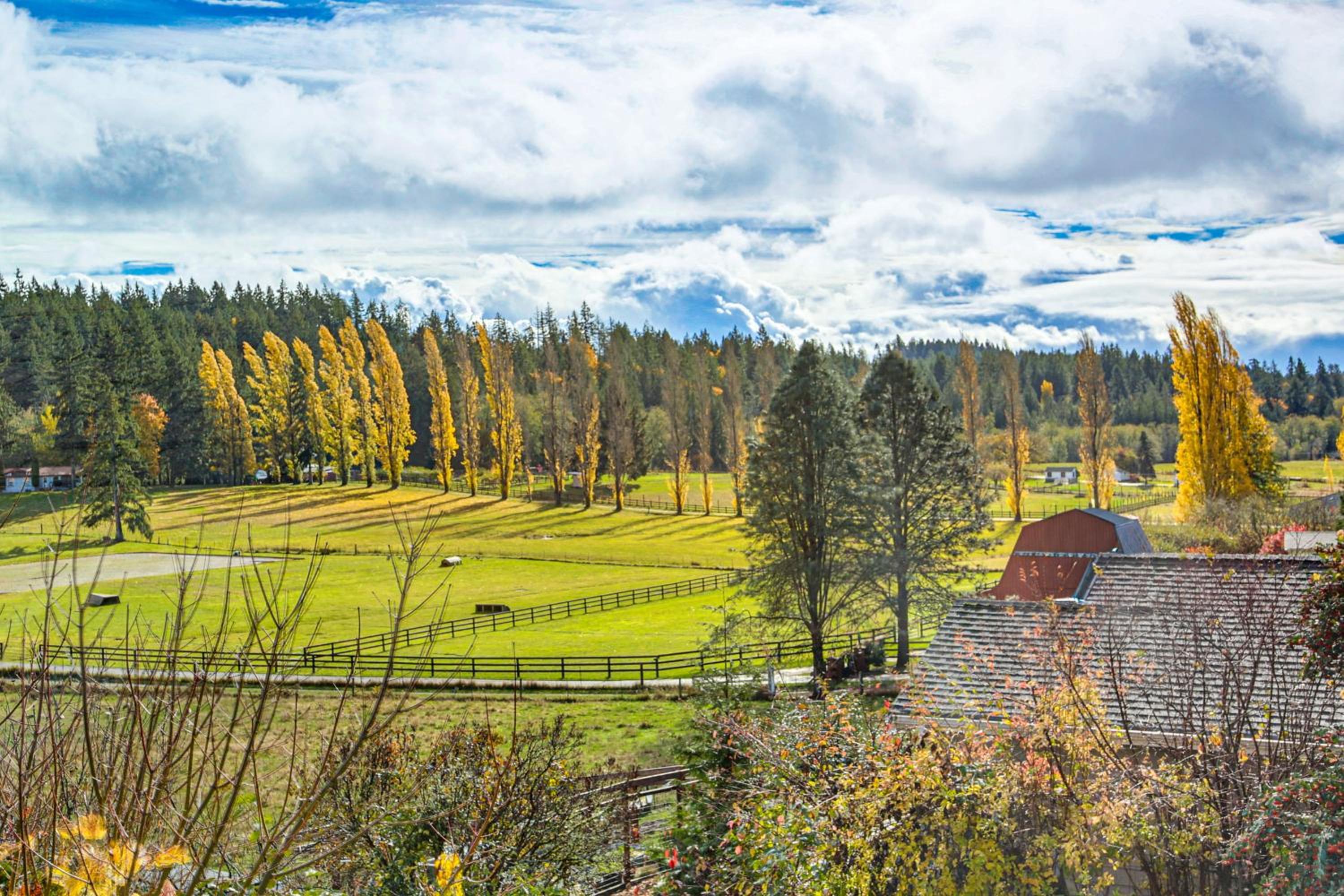 Hikes and Apples Renovated Farmhouse in Gig Harbor!