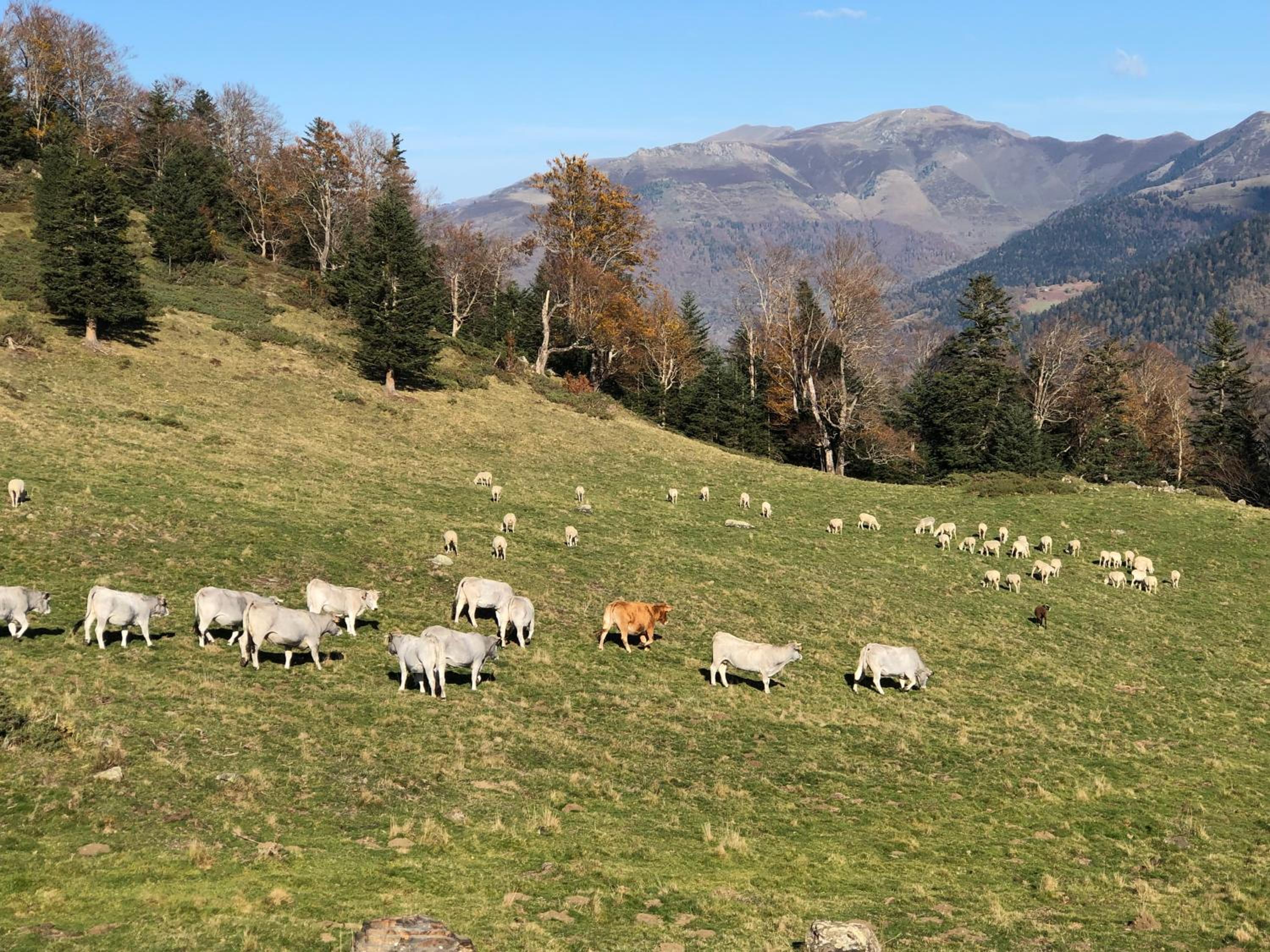 Le refuge 66