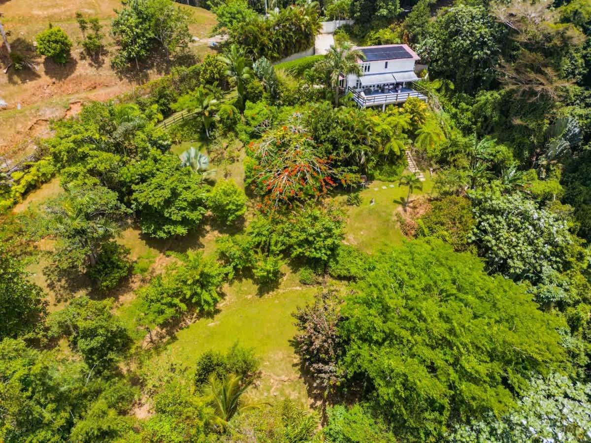 Chalet Lulu | Yoga/Retreat | P Solar | Hot Tub